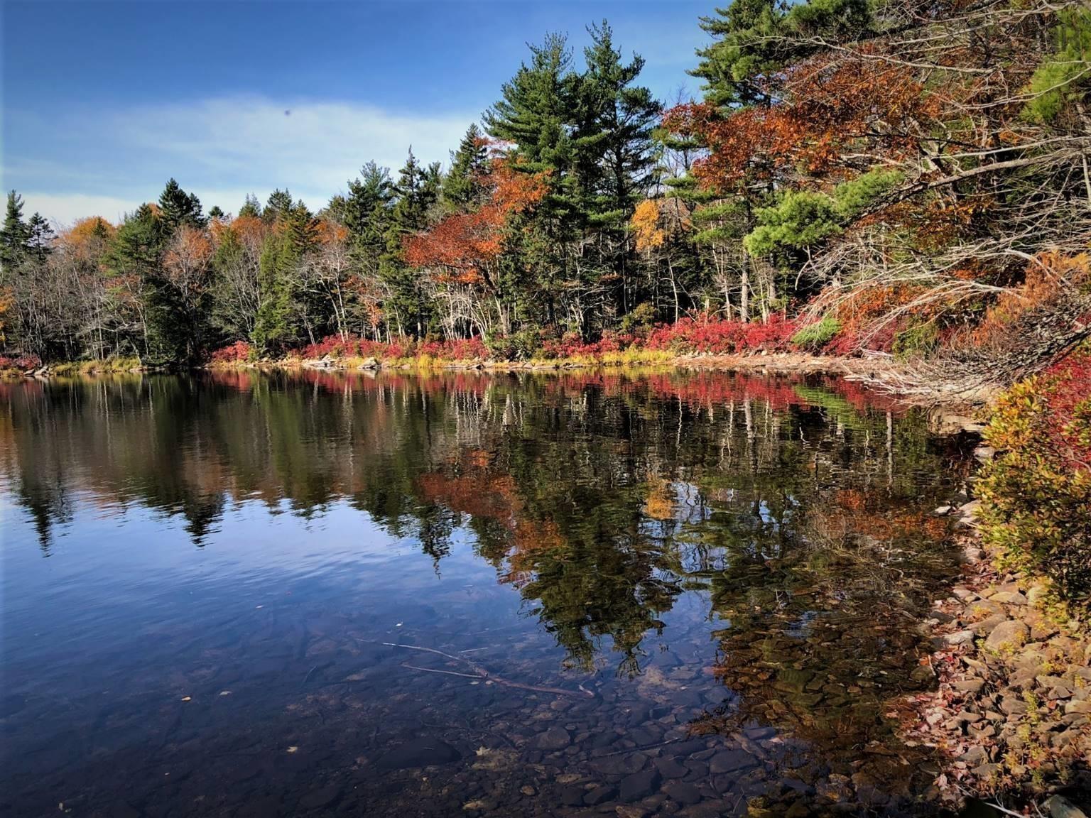 $30,000.00: 36 Lapland Road, Lunenburg County