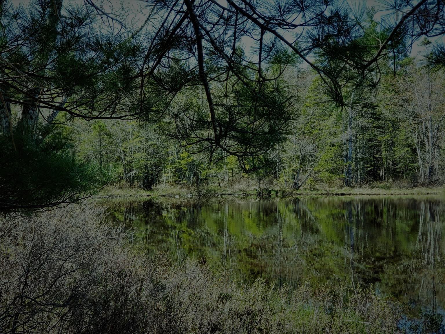 $30,000.00: 36 Lapland Road, Lunenburg County