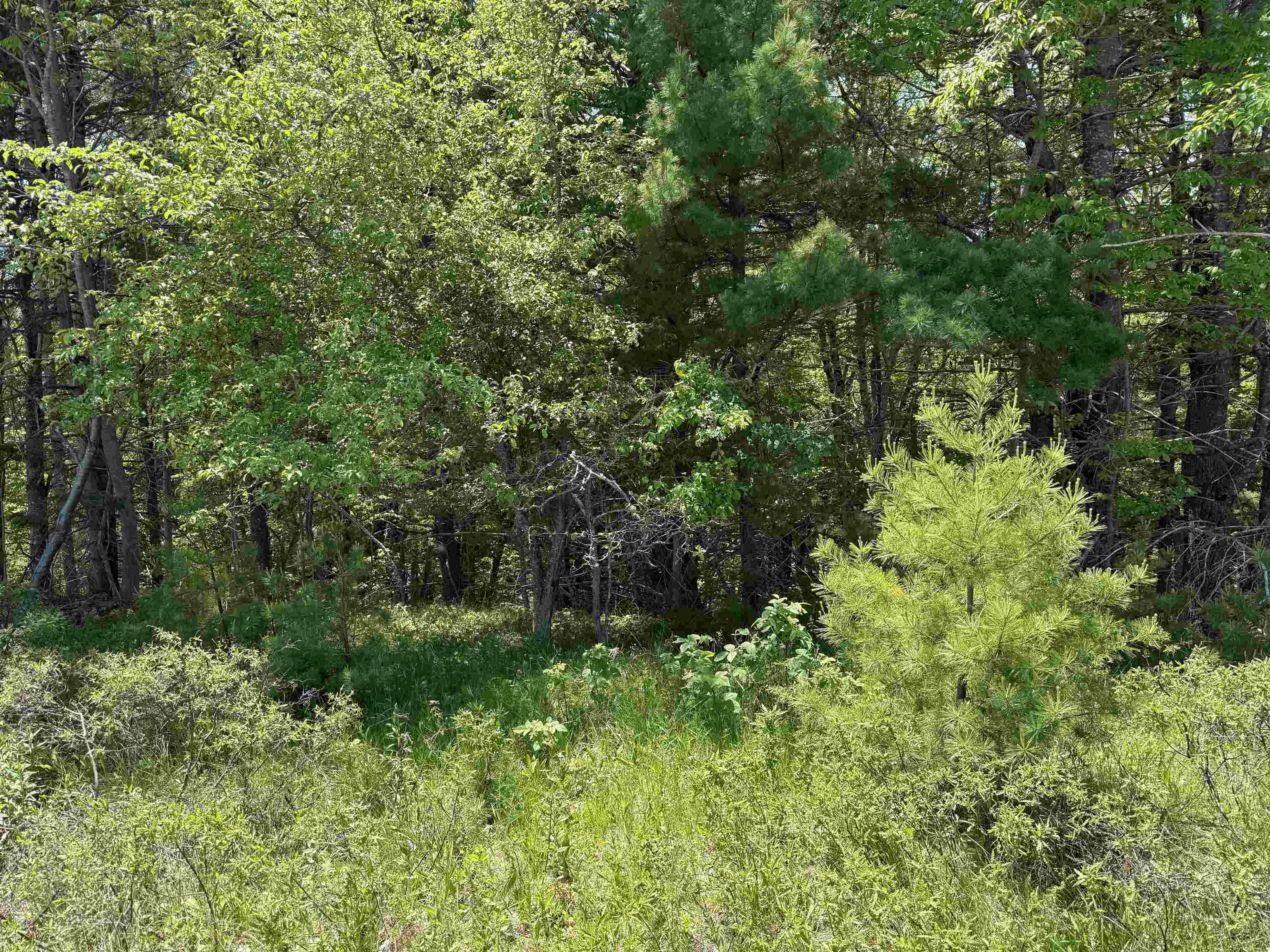 $55,000.00: Lot 226 Hawthorn Road, Mahone Bay