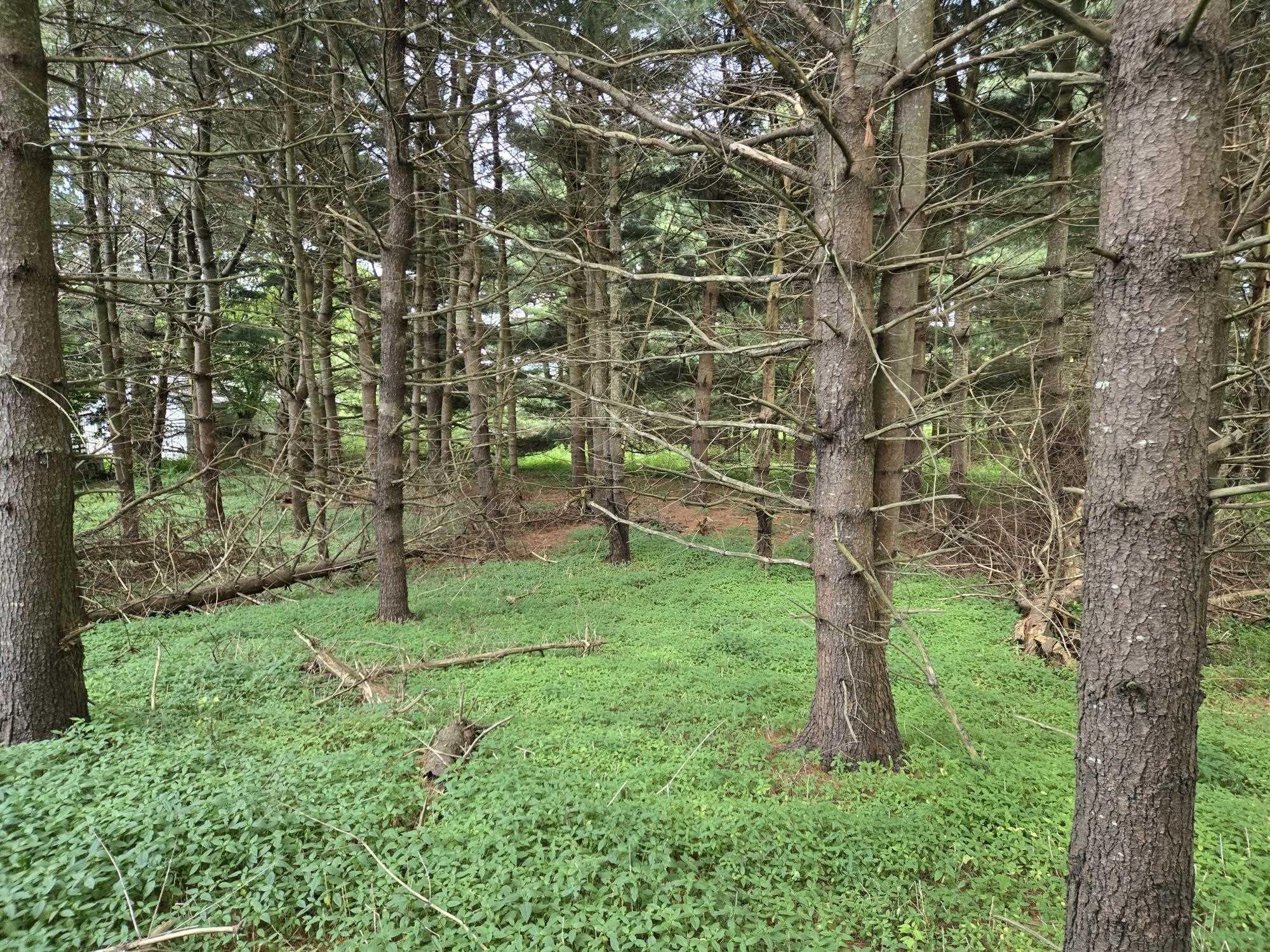 $69,900.00: Lot 3 Salmon River Road, Murray Siding