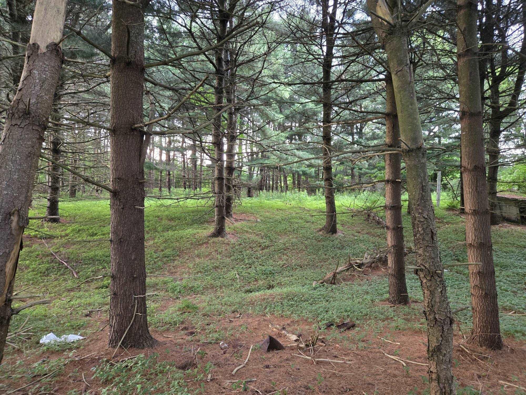 $69,900.00: Lot 3 Salmon River Road, Murray Siding