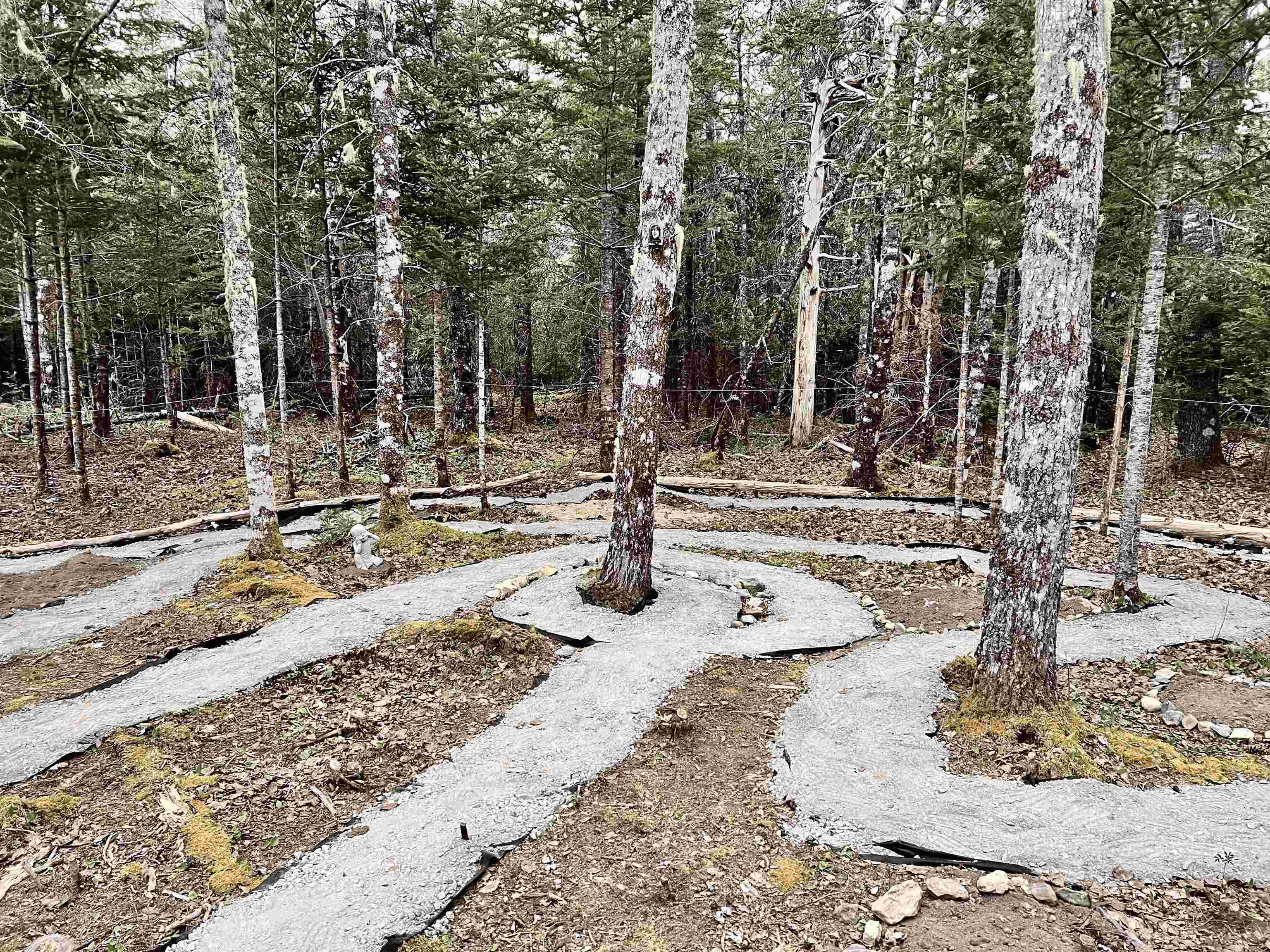 $524,900.00: 3389 Highway 340 Highway, Carleton