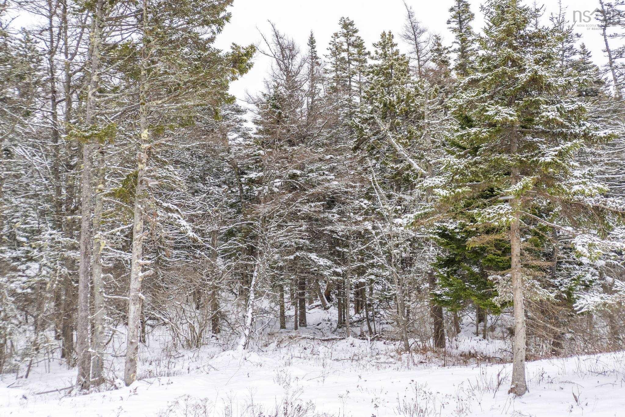 $75,000.00: Lot Meteghan Connector Road, Meteghan