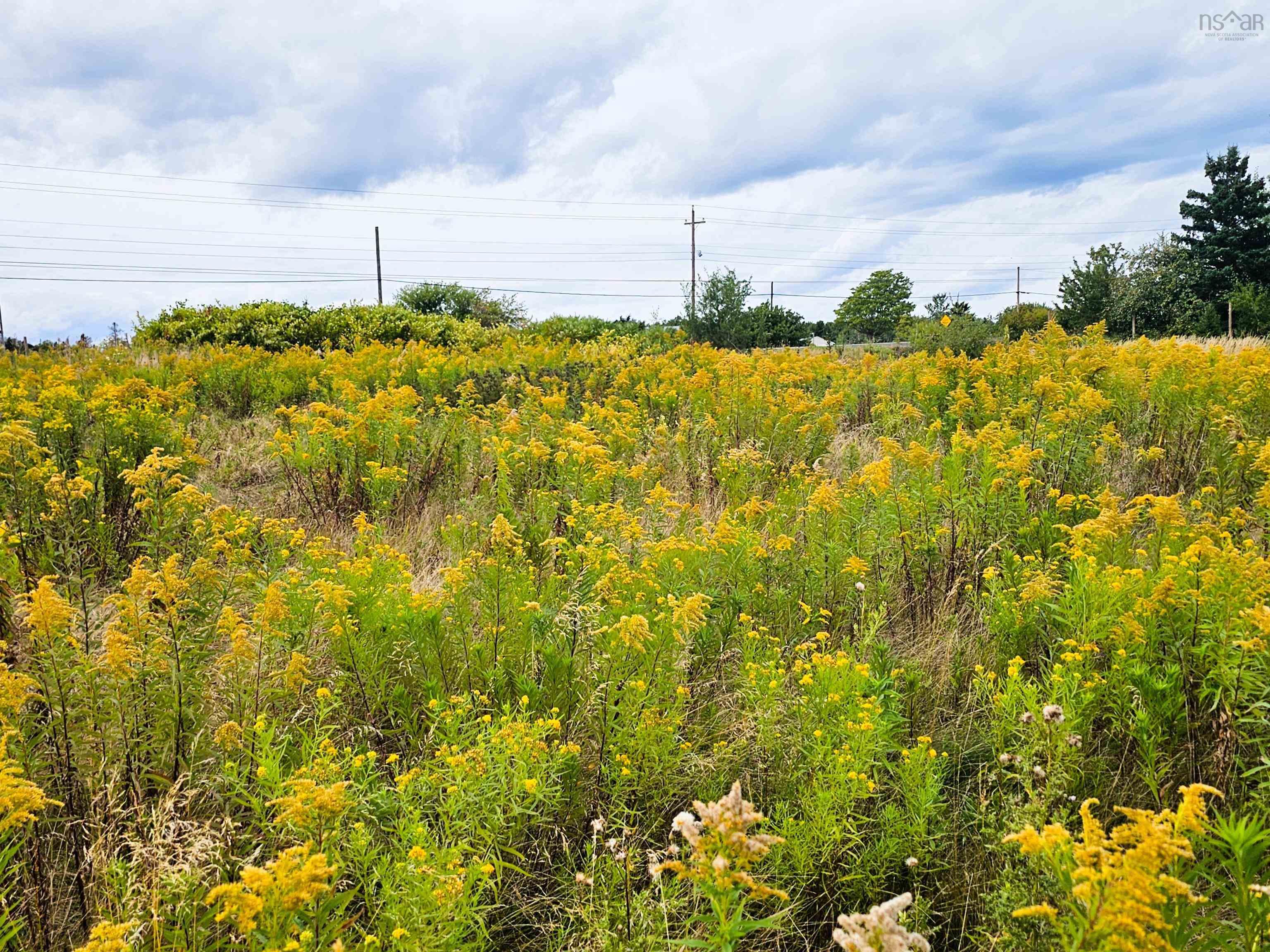 $129,900.00: 4614 Highway 2, Upper Economy