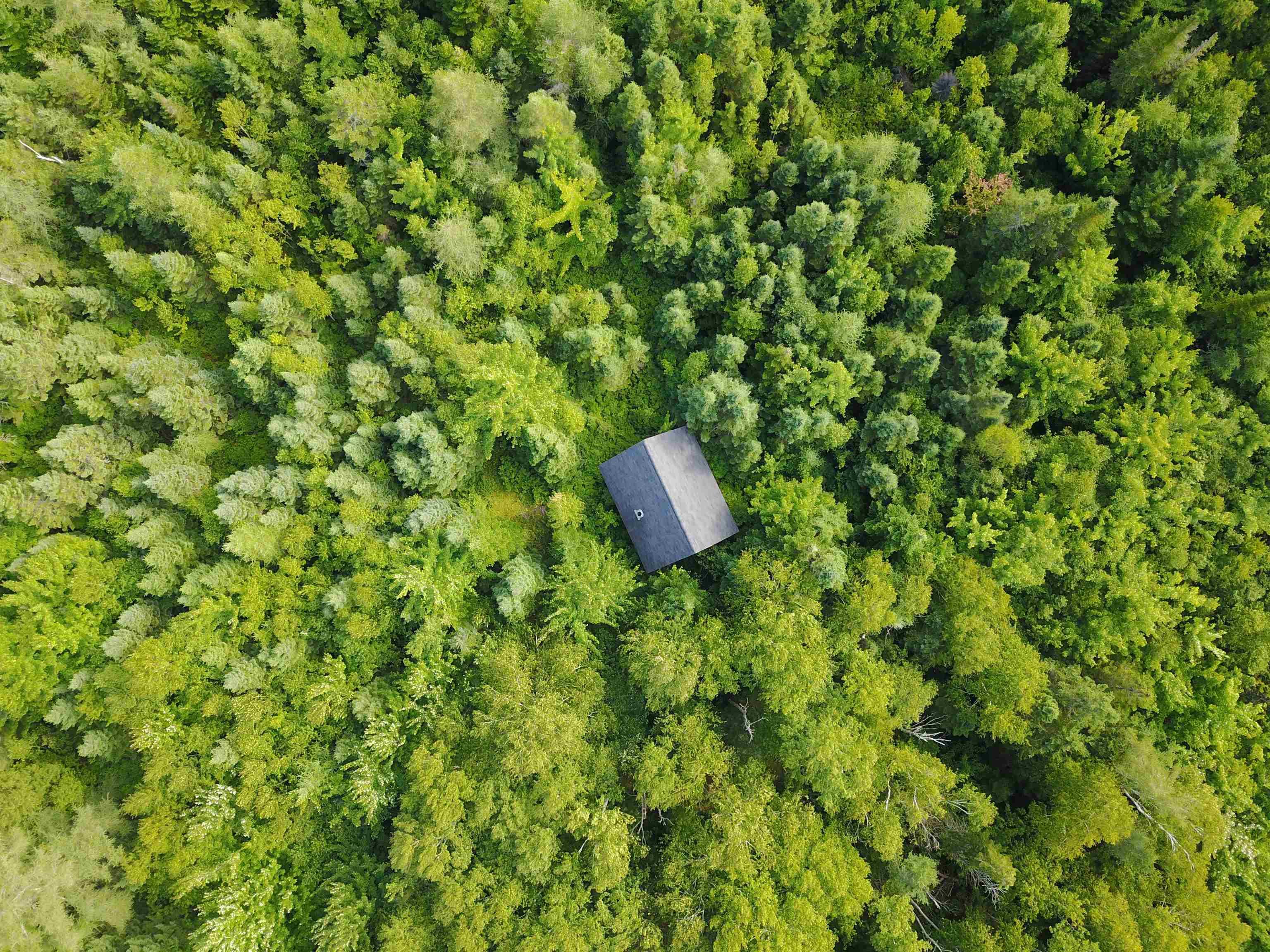 $99,900.00: South Cove Road, South Cove