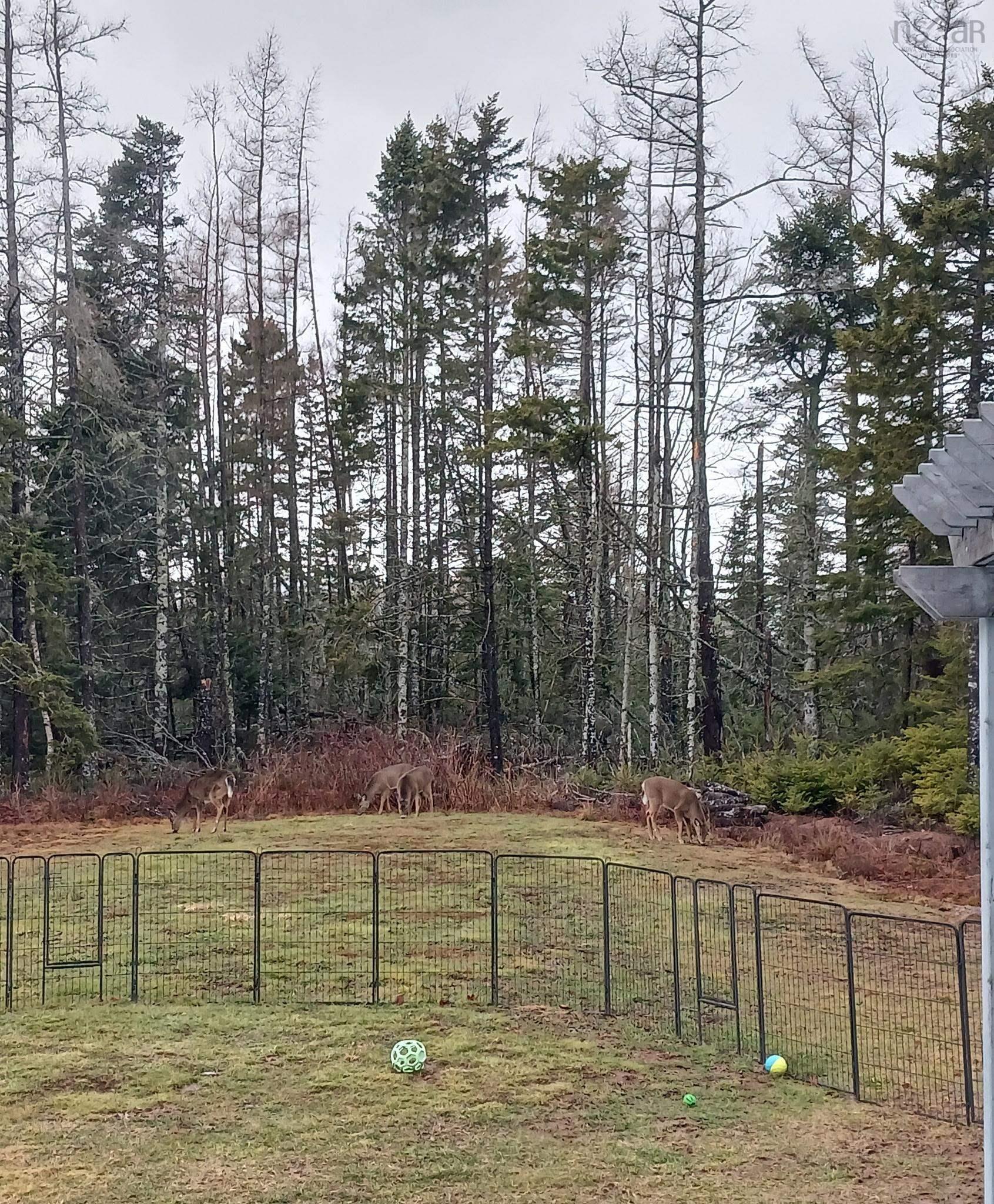 $439,900.00: 99 Cross Road, Great Village