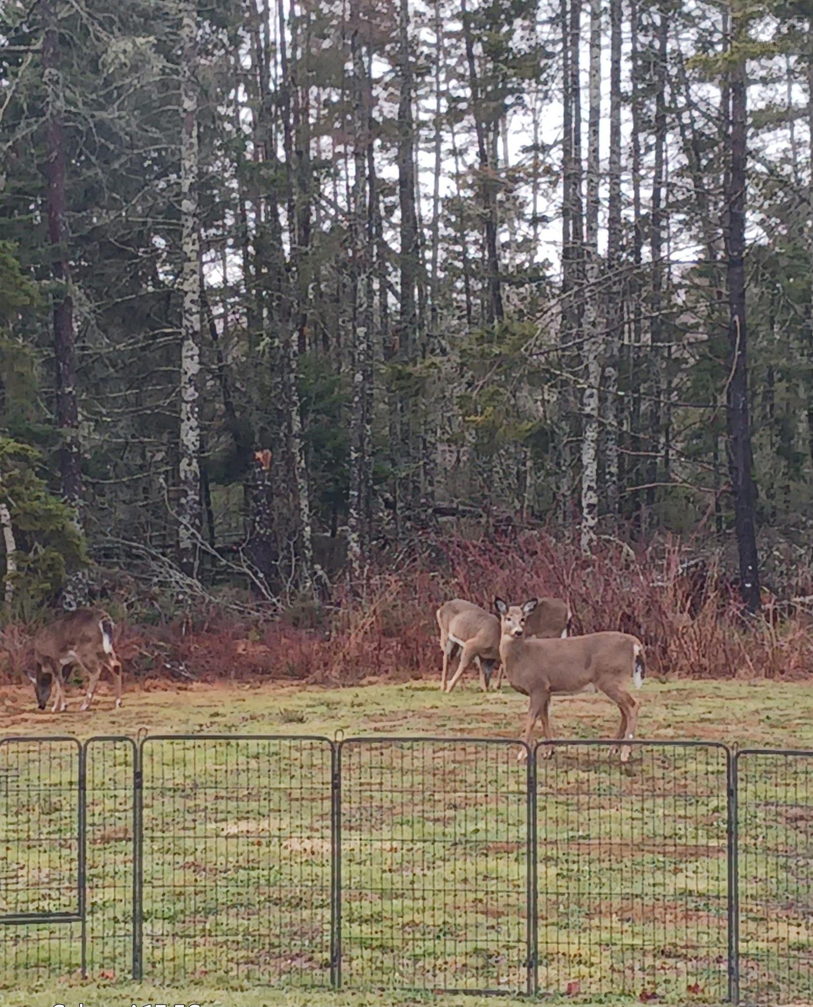 $439,900.00: 99 Cross Road, Great Village