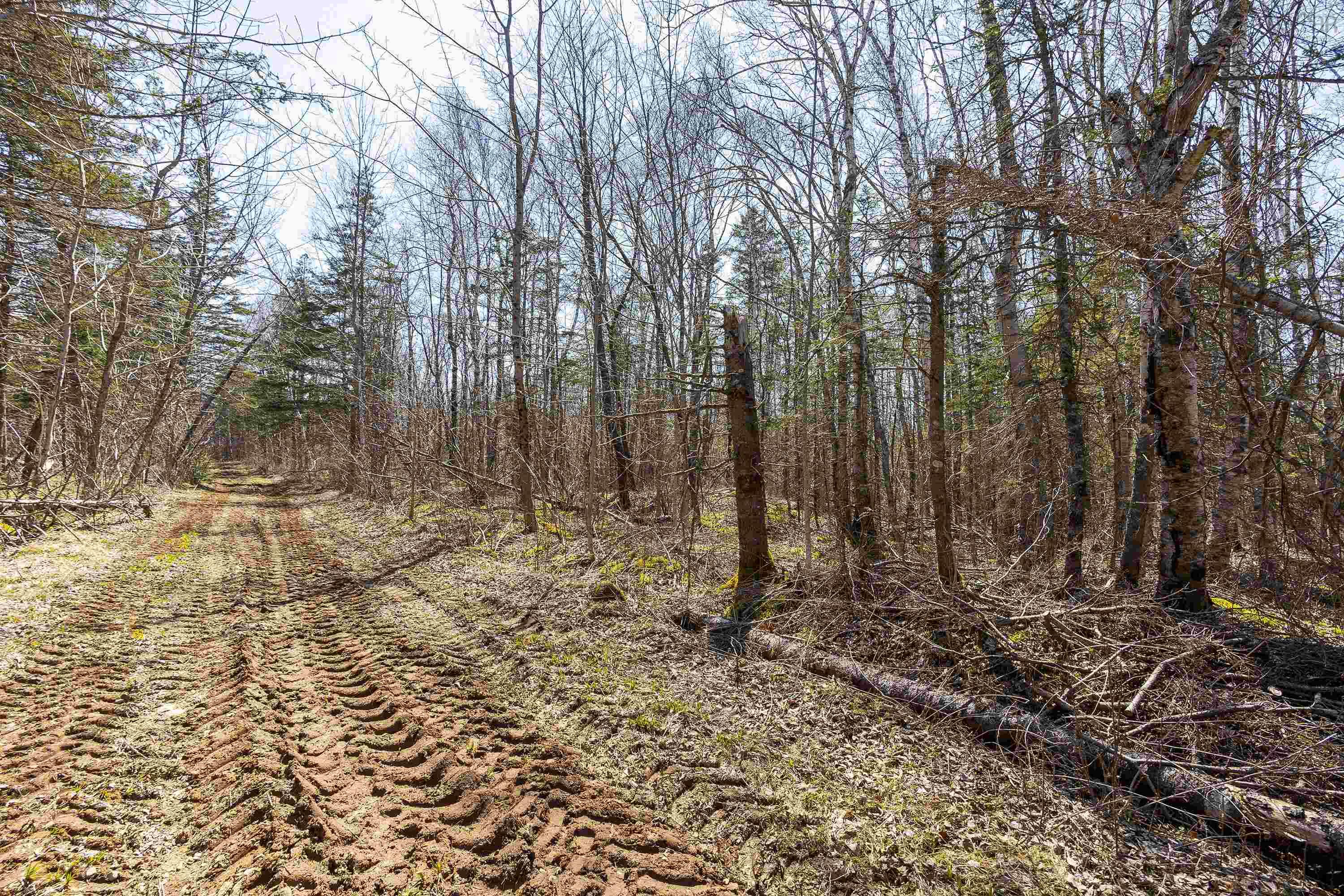 $45,000.00: Lot 2 Seaman Street, East Margaretsville