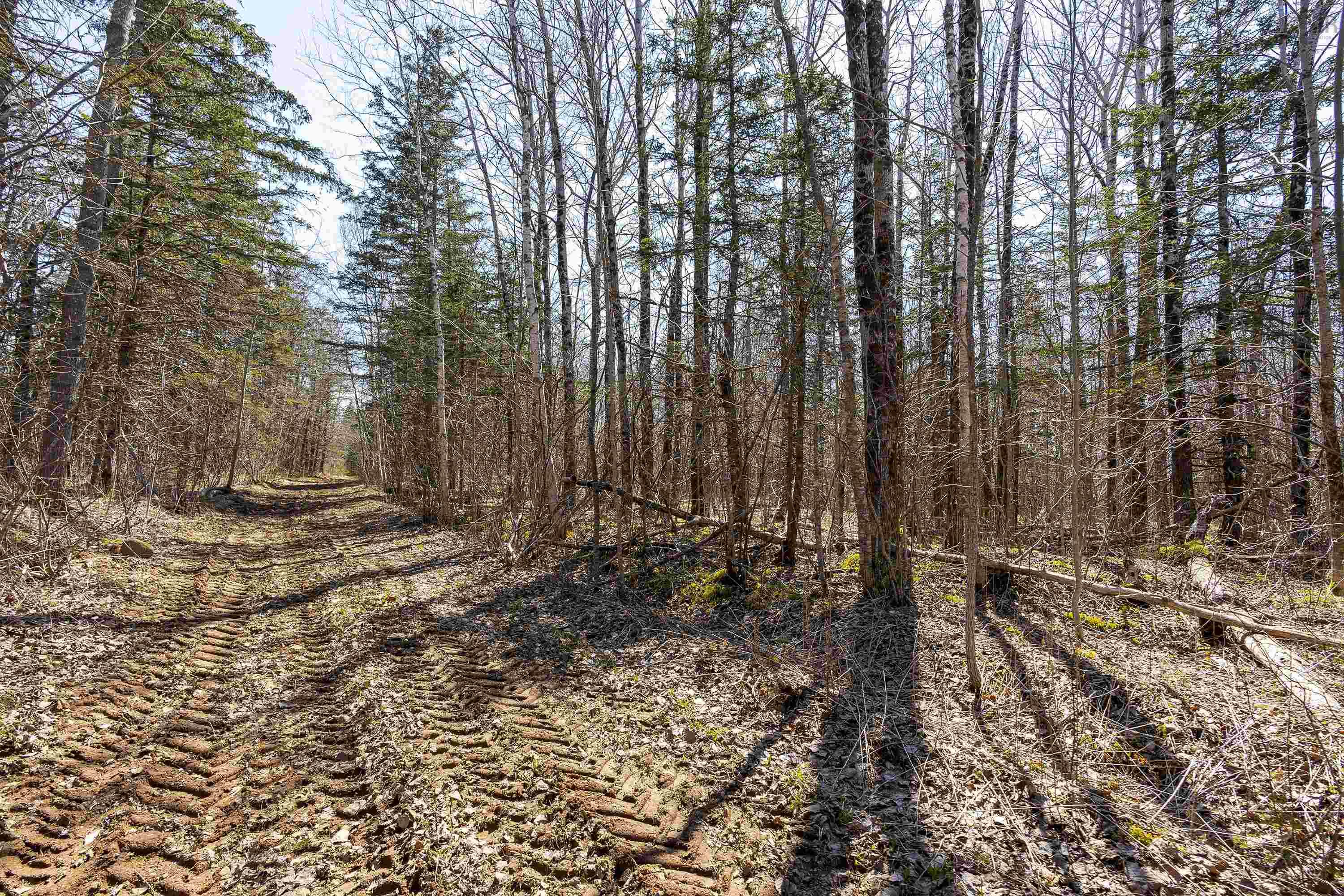 $45,000.00: Lot 2 Seaman Street, East Margaretsville