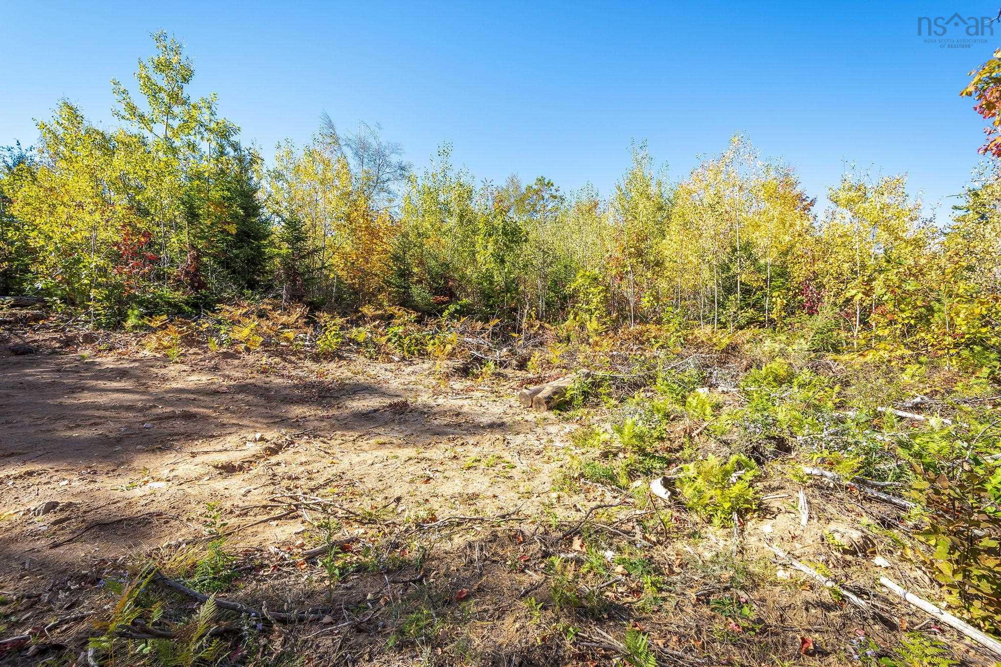 $85,000.00: Lot 11 Cambridge Mountain Road, Prospect