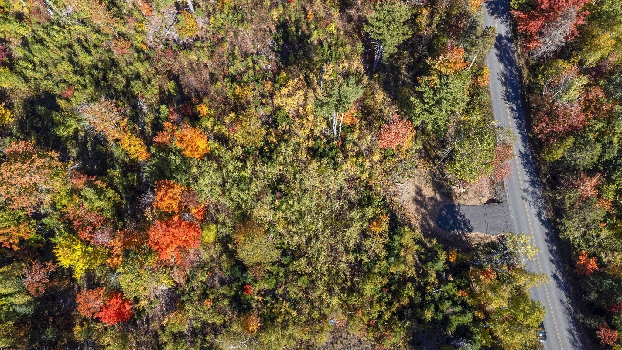 $85,000.00: Lot 11 Cambridge Mountain Road, Prospect