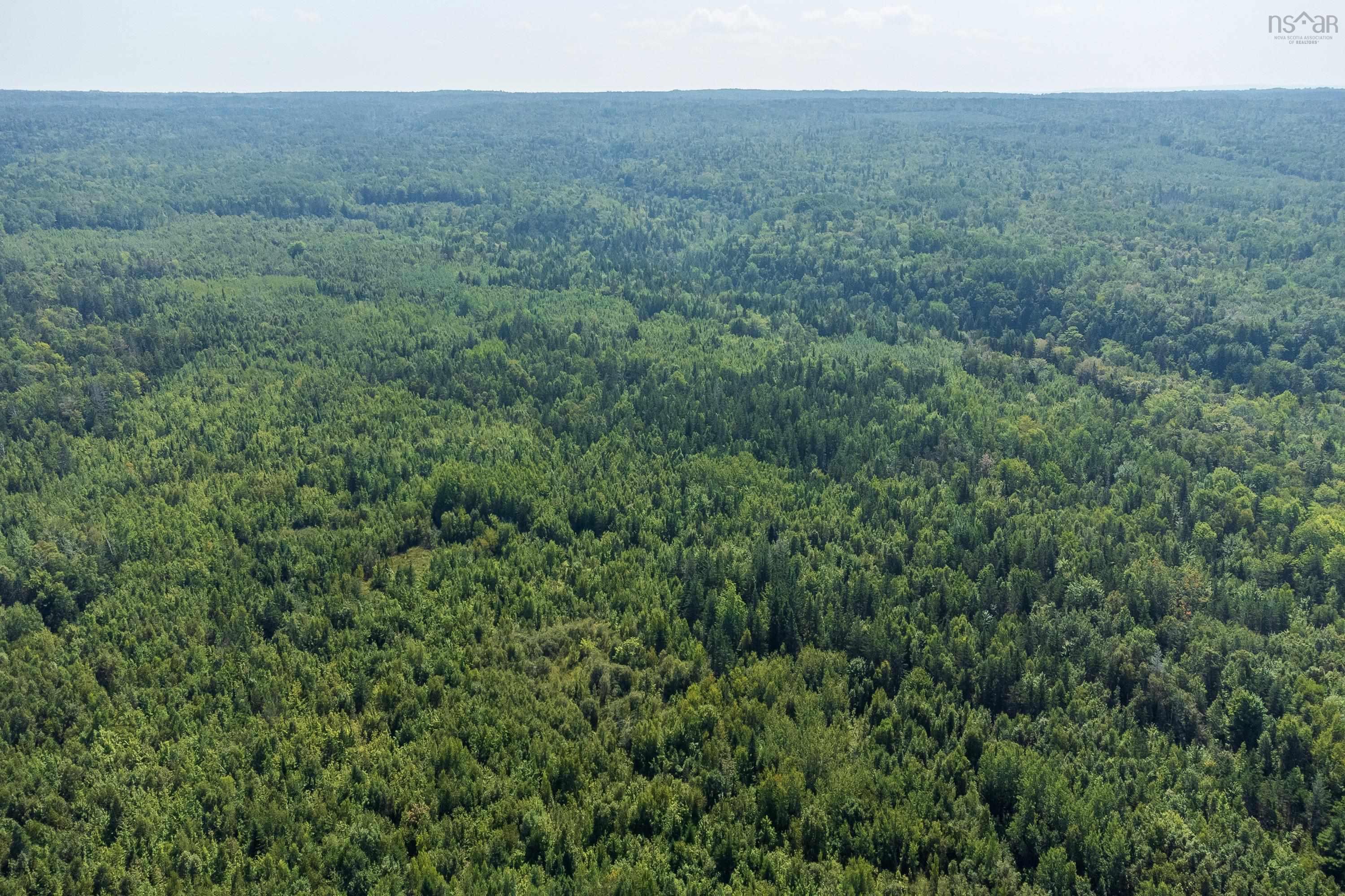 Lots Mcnally Road, Victoria Harbour, NS (MLS® 202601842)