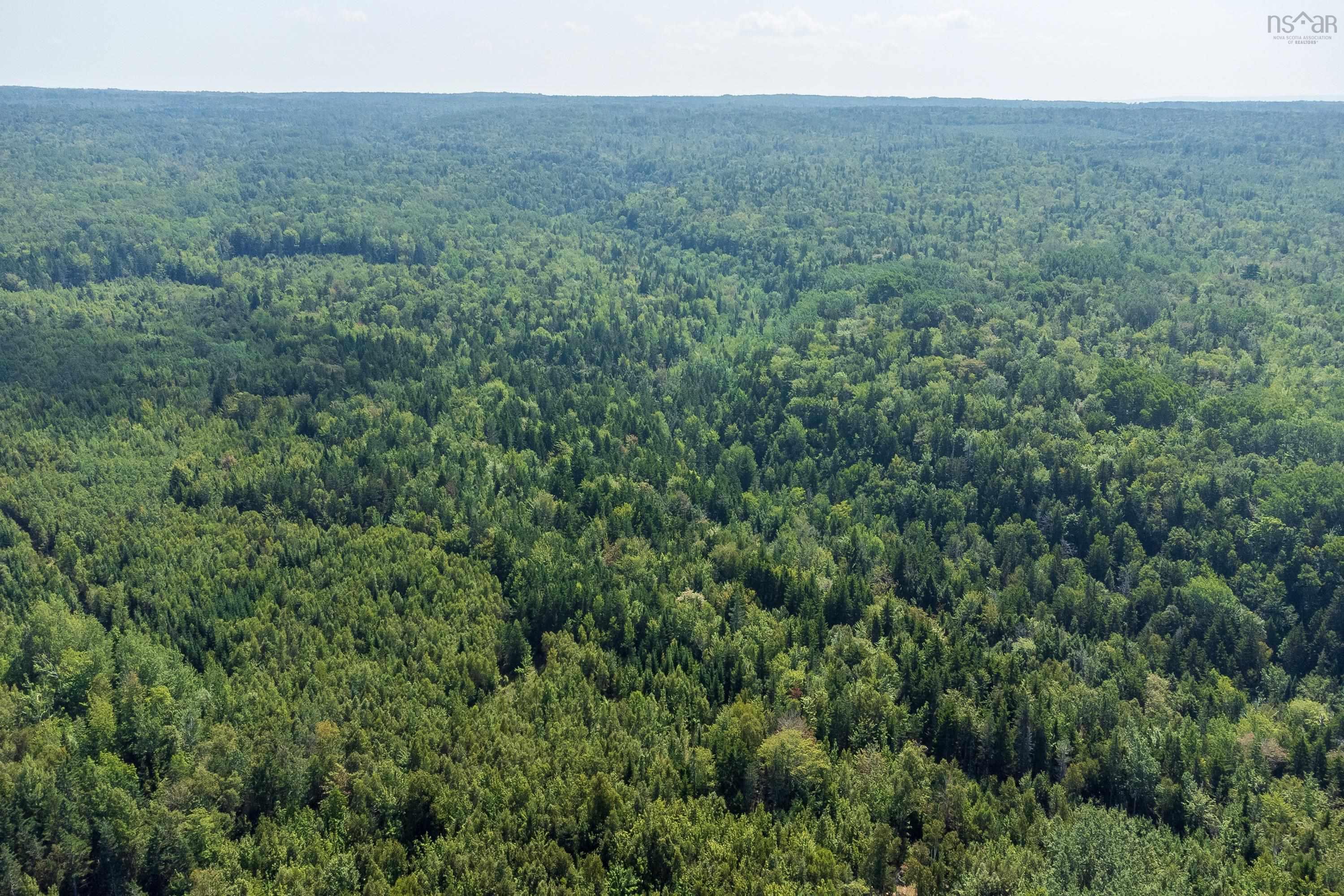 $295,000.00: Lots McNally Road, Victoria Harbour