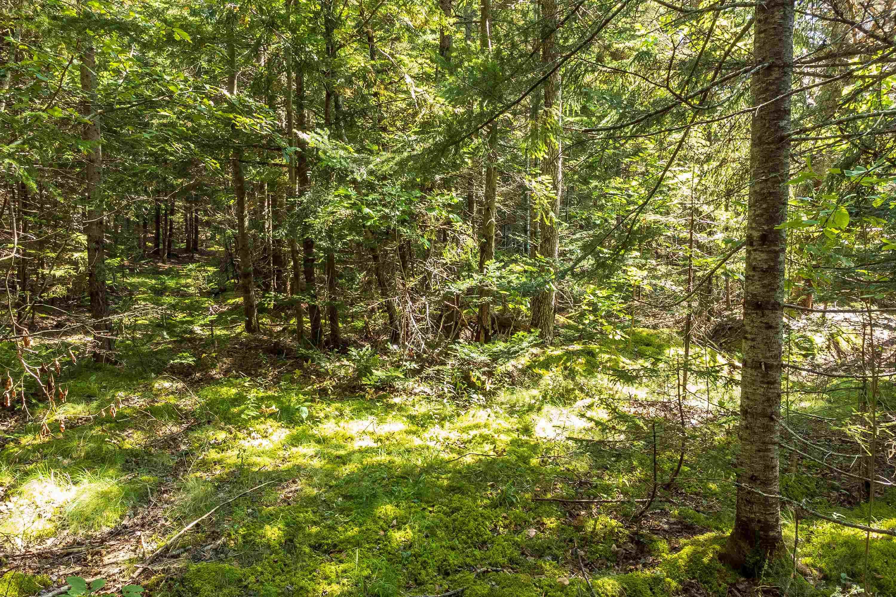 $295,000.00: Lots McNally Road, Victoria Harbour