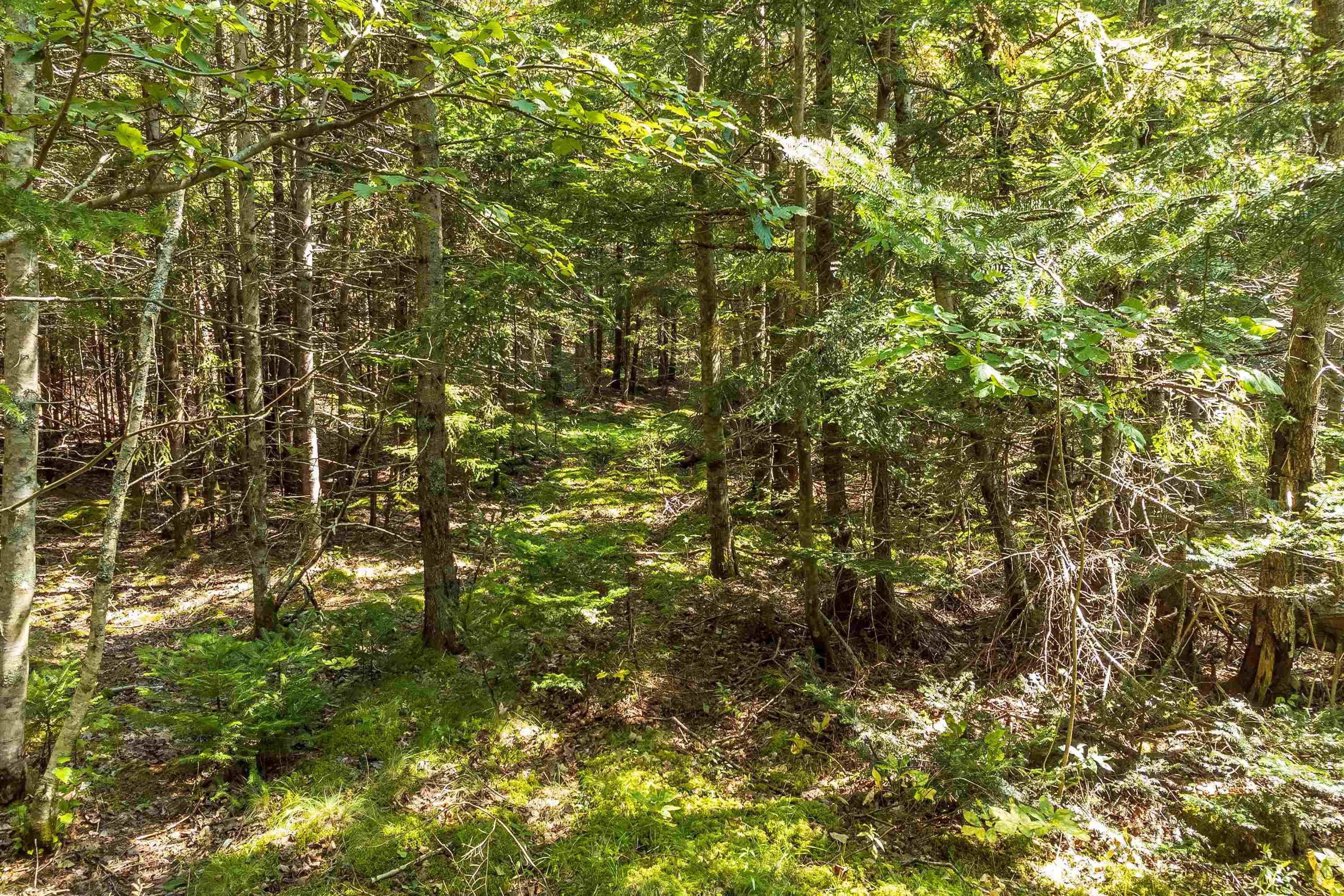 $295,000.00: Lots McNally Road, Victoria Harbour