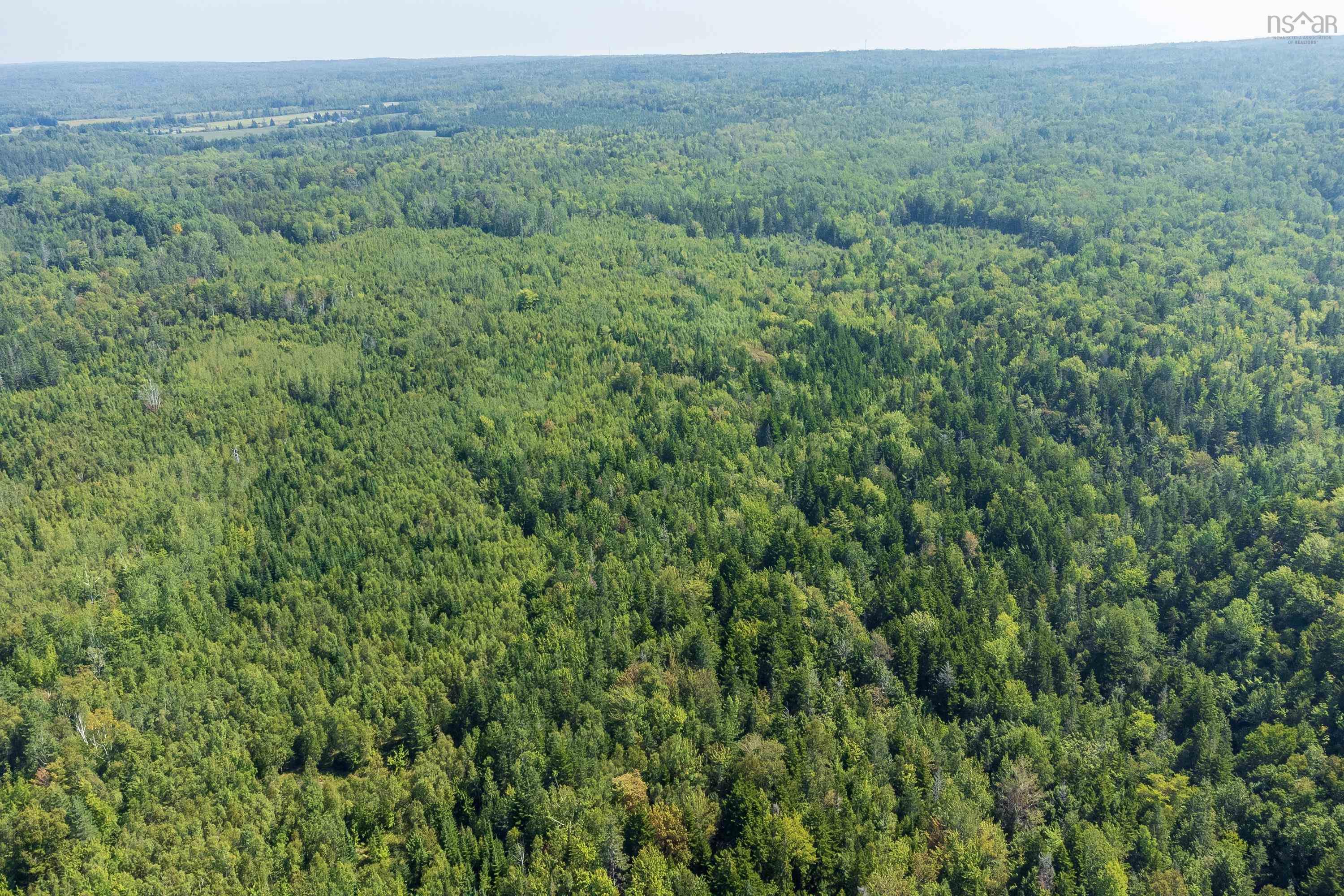 $295,000.00: Lots McNally Road, Victoria Harbour