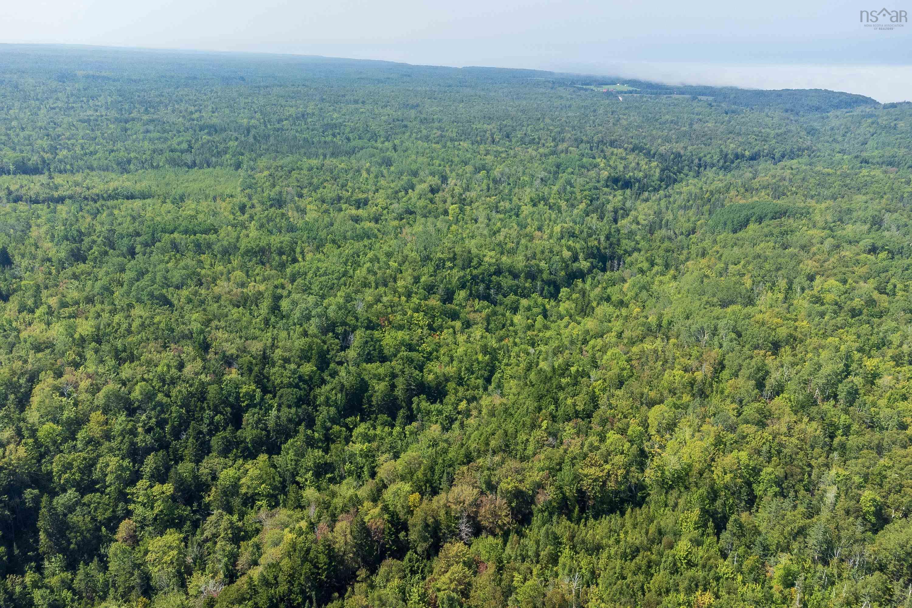 $295,000.00: Lots McNally Road, Victoria Harbour