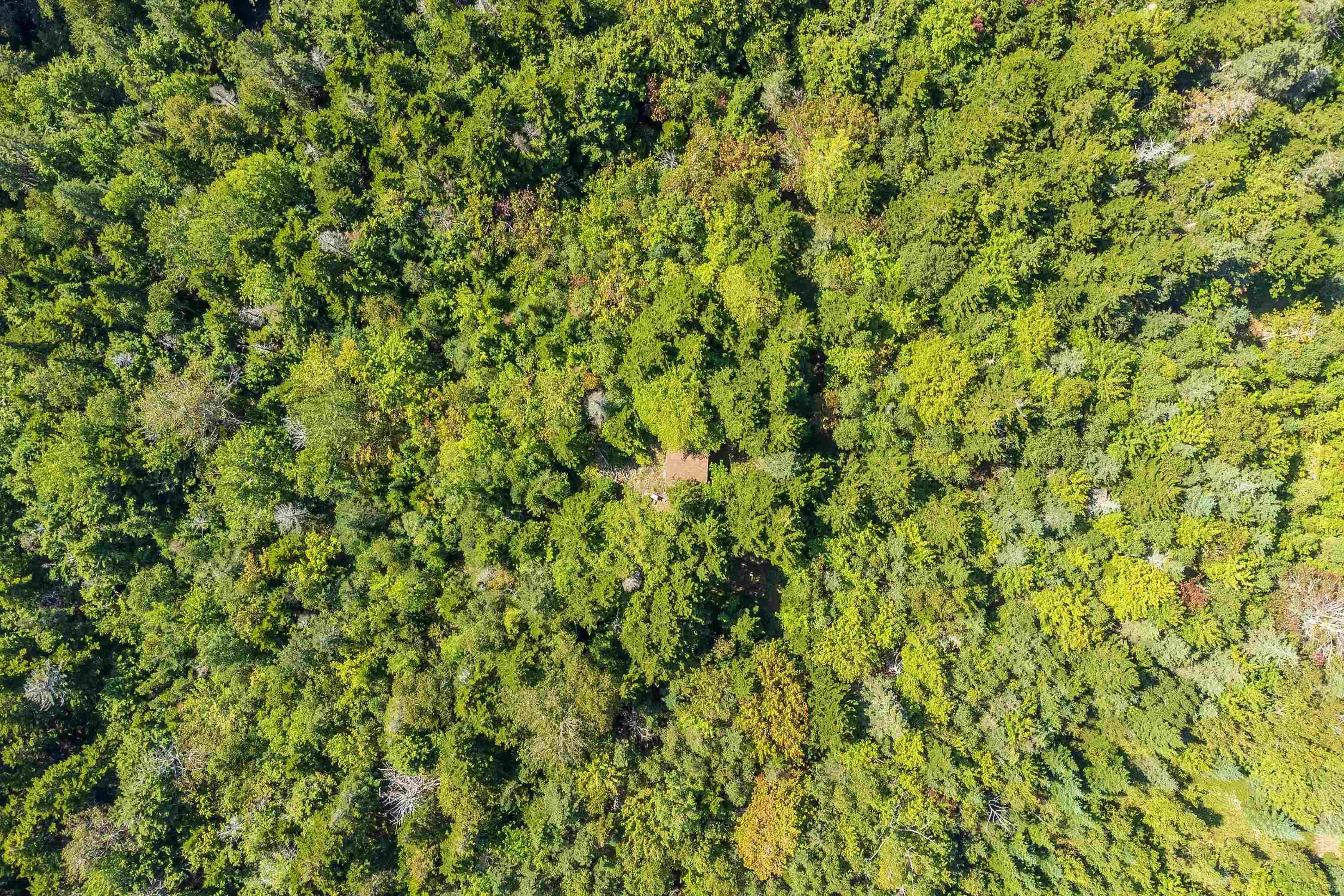 $295,000.00: Lots McNally Road, Victoria Harbour