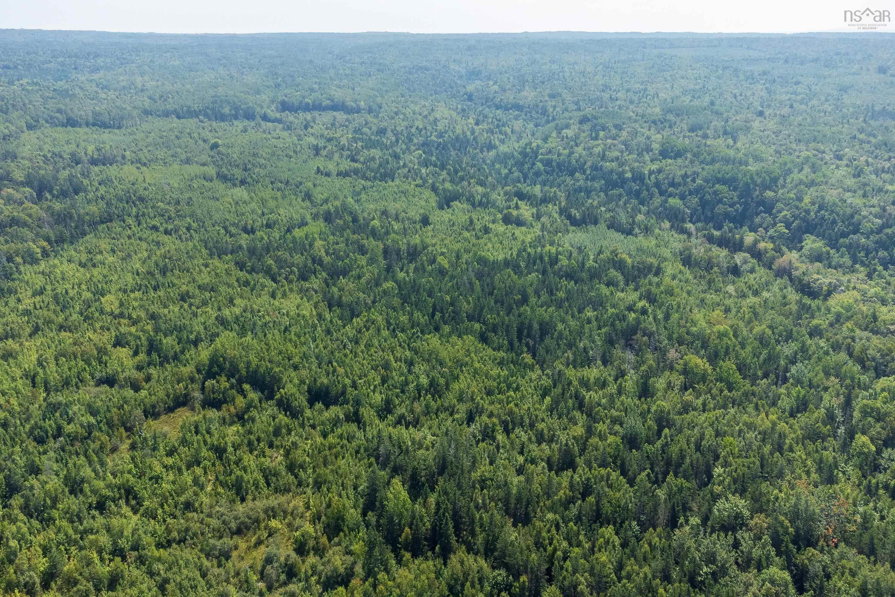 $295,000.00: Lots McNally Road, Victoria Harbour