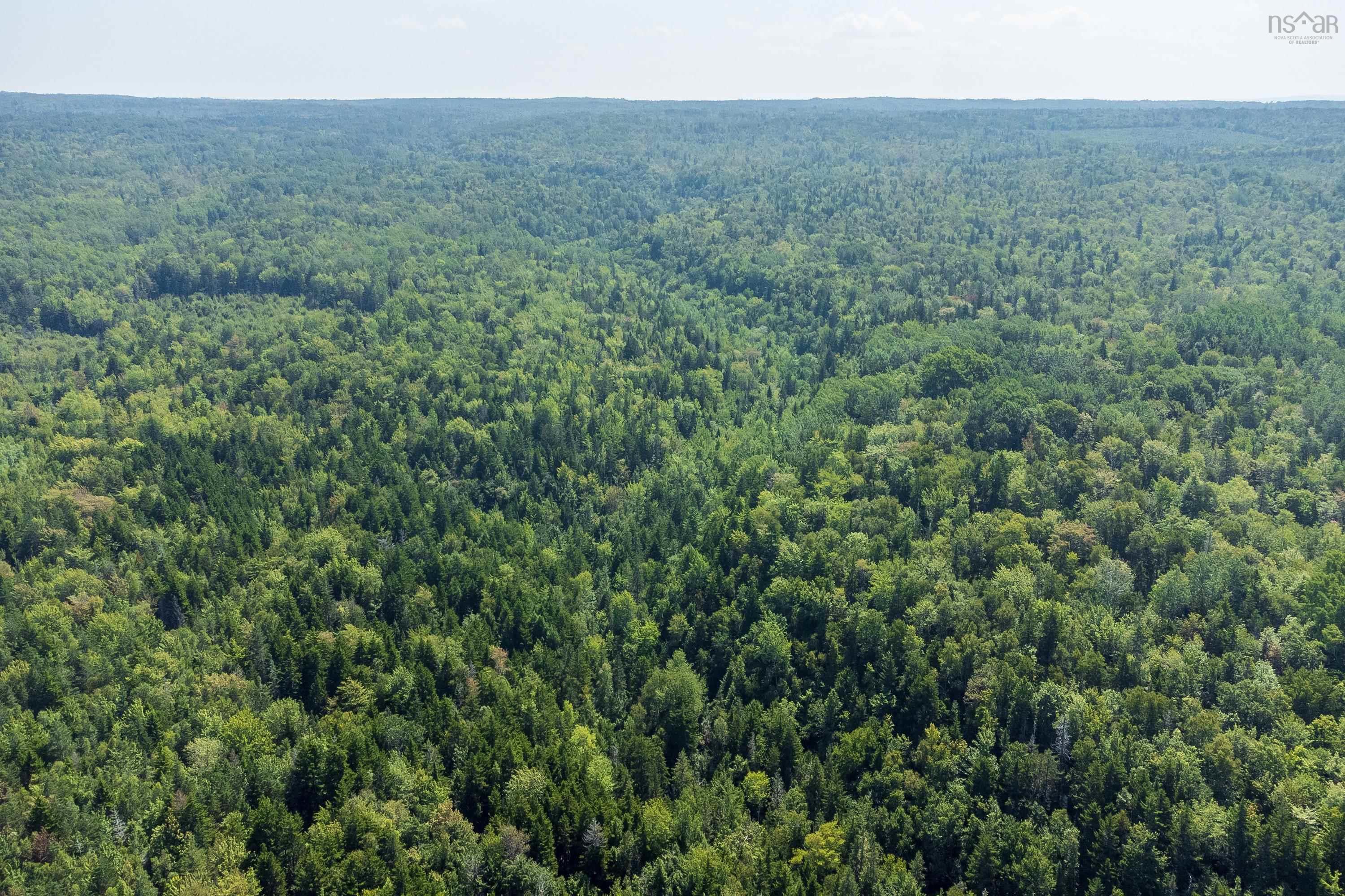 $295,000.00: Lots McNally Road, Victoria Harbour