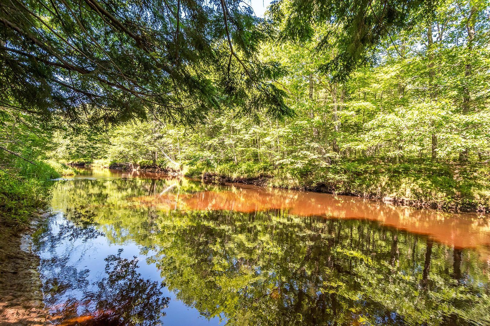 $65,000.00: Lot 14 River Drive, South Greenwood