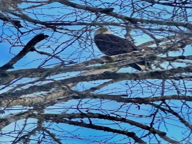 $844,999.00: 788 Stewiacke River Park Road, MacKay Siding