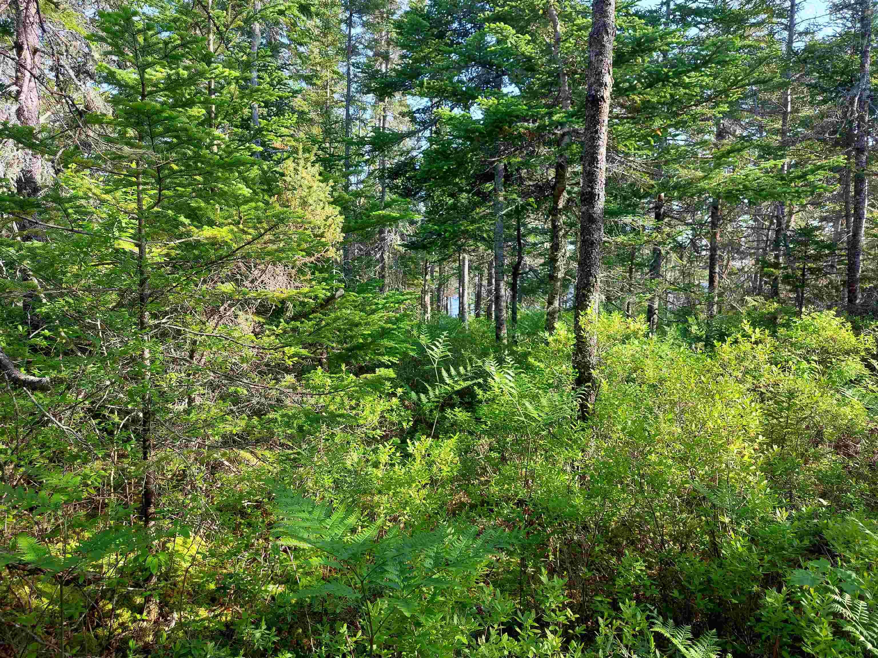 $25,000.00: Lot 16 Walkerville Rd., Walkerville