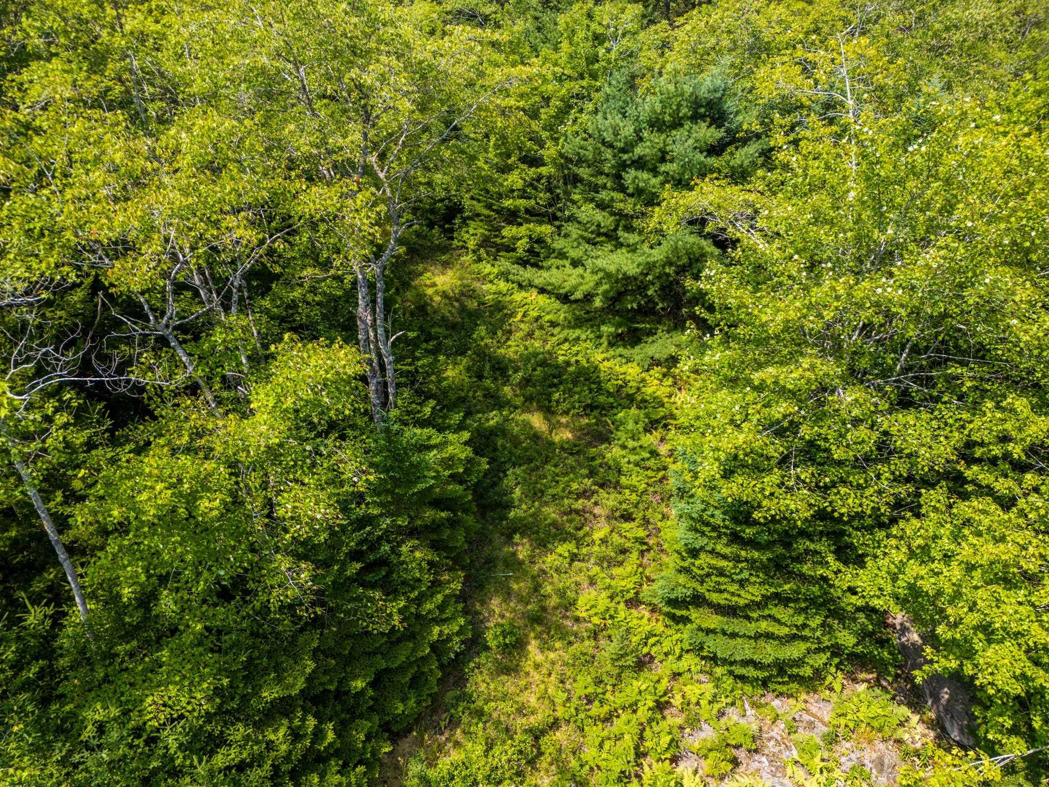 $65,000.00: Lot 3 Maple Leaf Drive, East Canaan