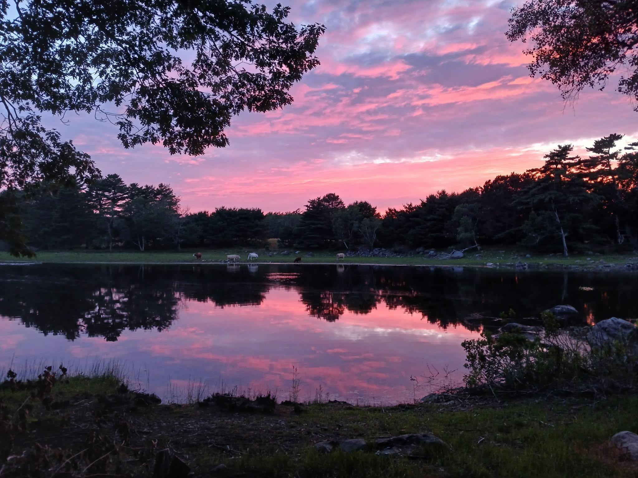 $644,999.00: 461 Mill Village East Road, Charleston