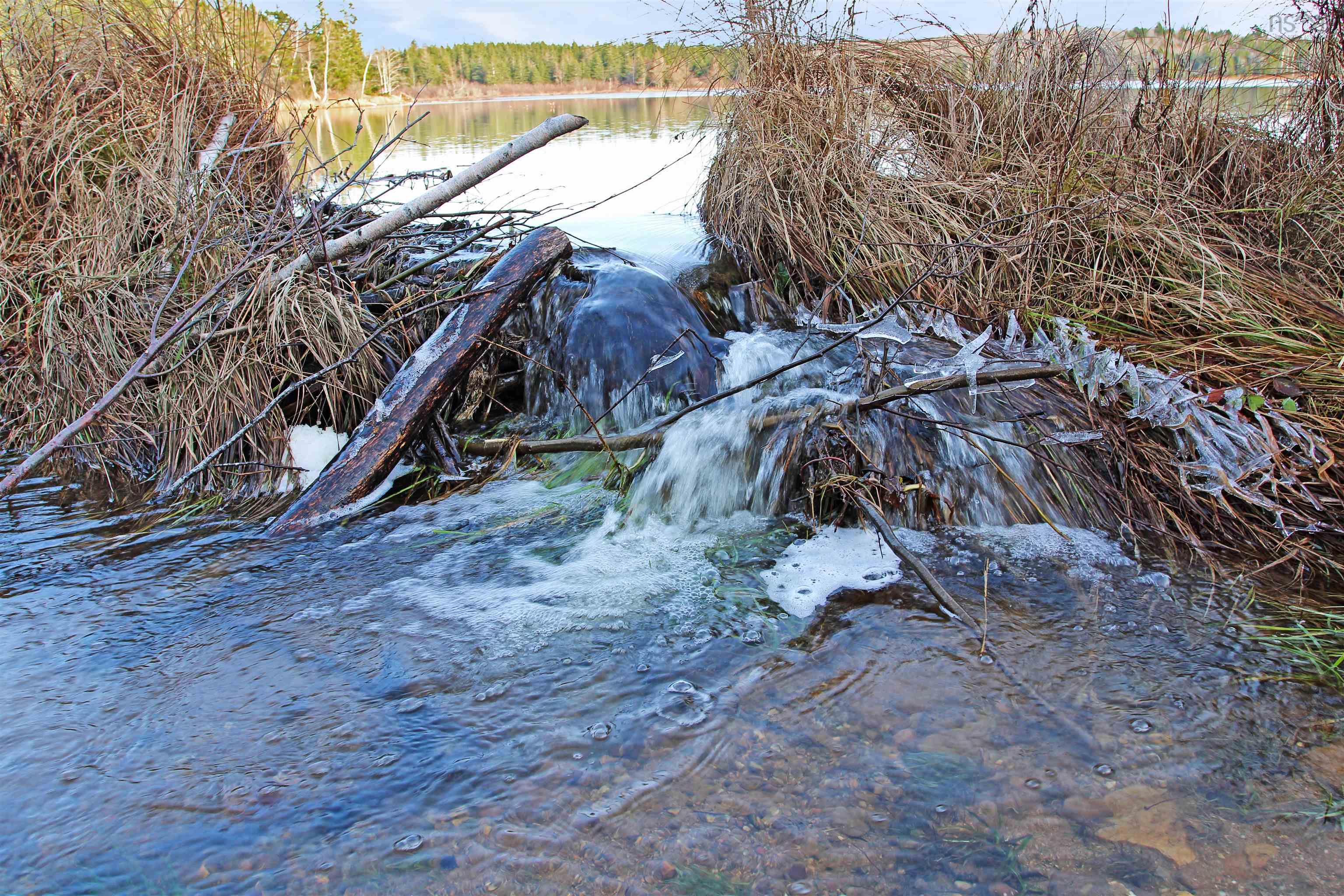 $129,000.00: Lot Arlington Road, Mount Hanley