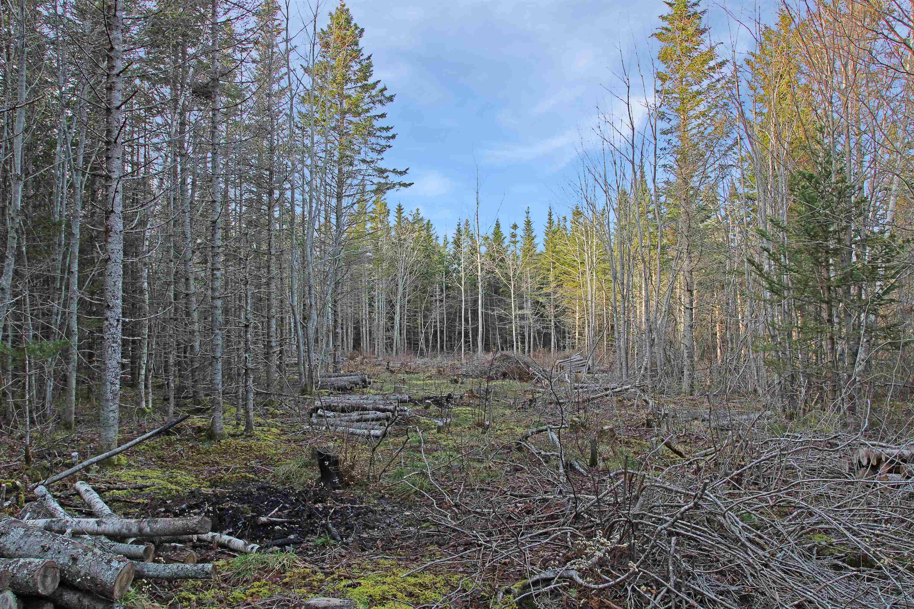 $129,000.00: Lot Arlington Road, Mount Hanley