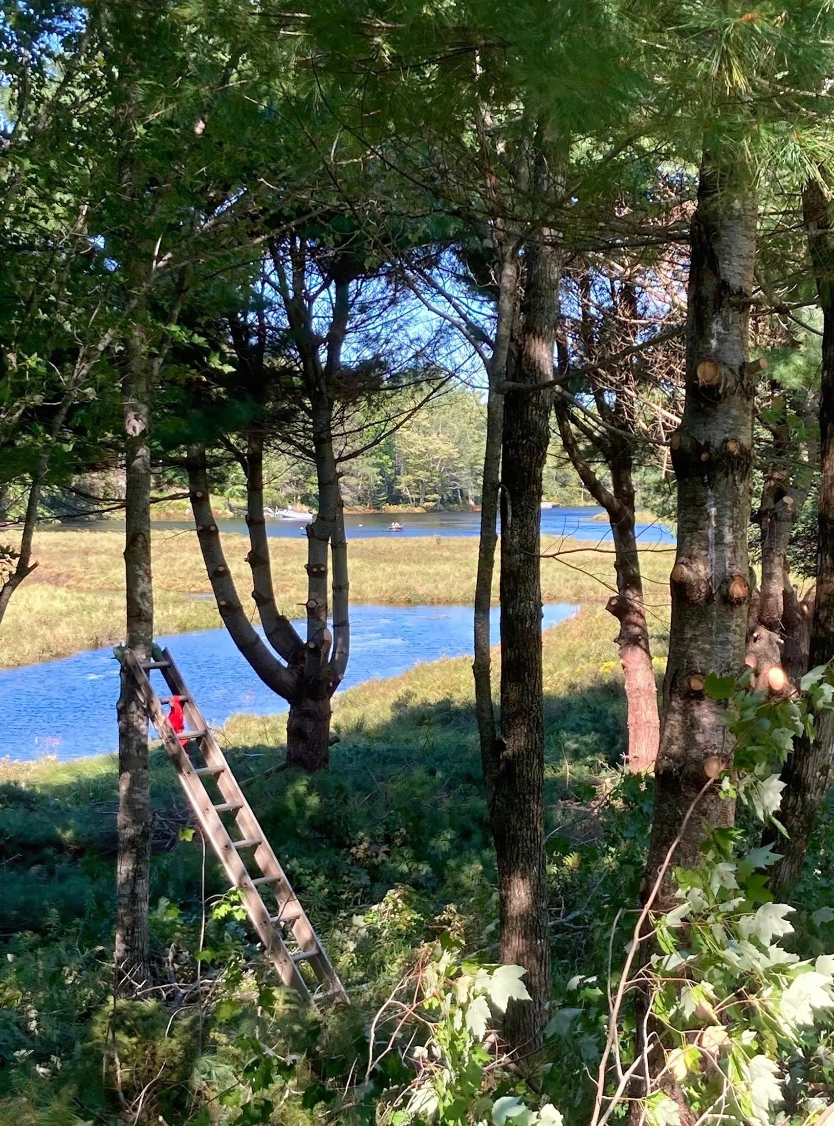 $97,500.00: Lot 29 Salmon Run Road, Newburne