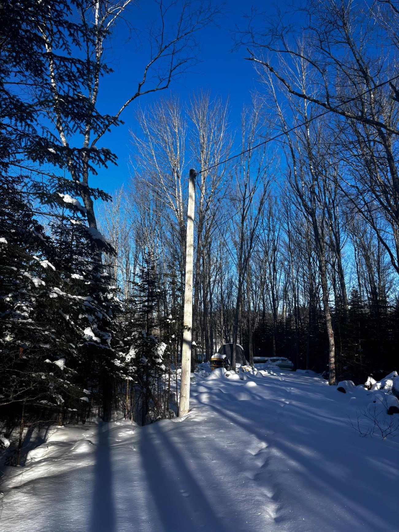 $97,500.00: Lot 29 Salmon Run Road, Newburne