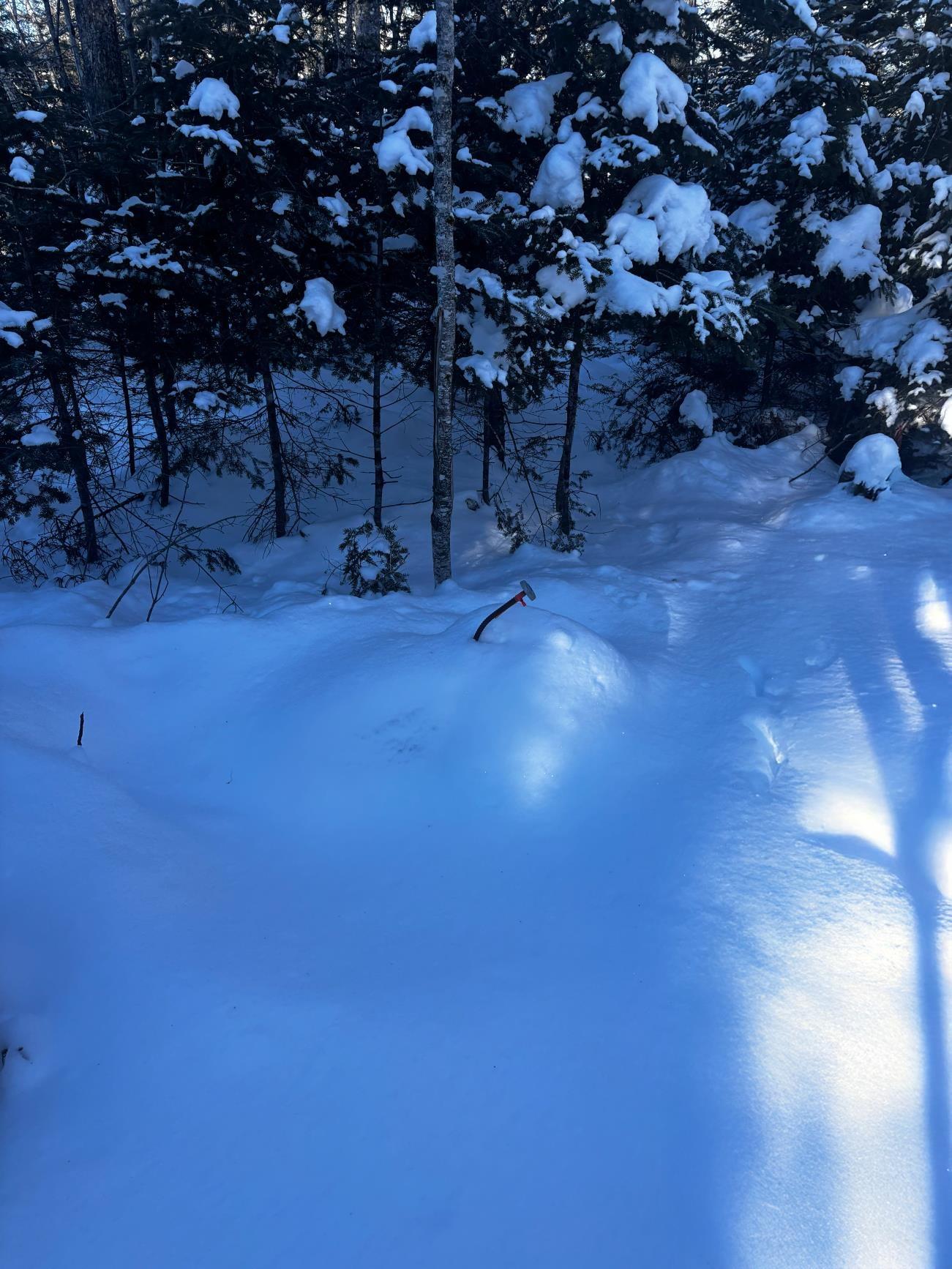 $97,500.00: Lot 29 Salmon Run Road, Newburne