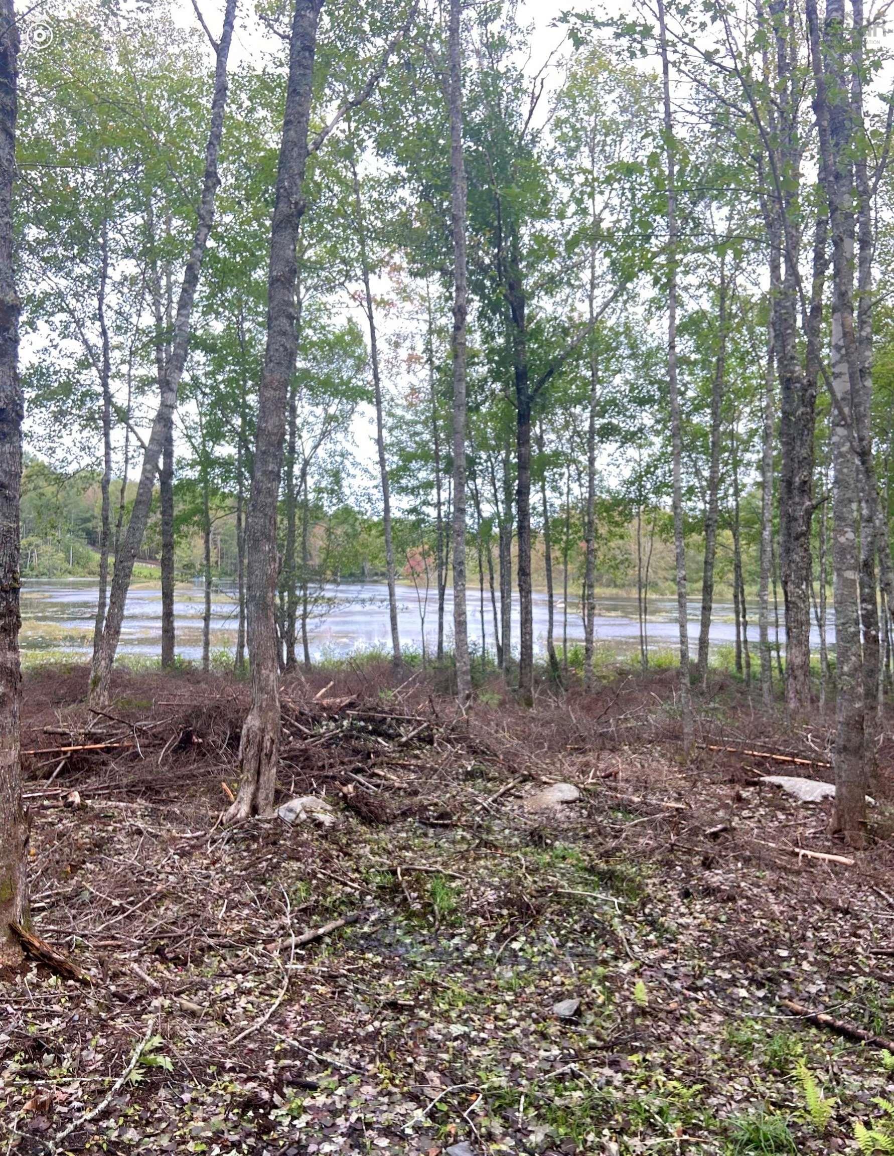 $97,500.00: Lot 29 Salmon Run Road, Newburne