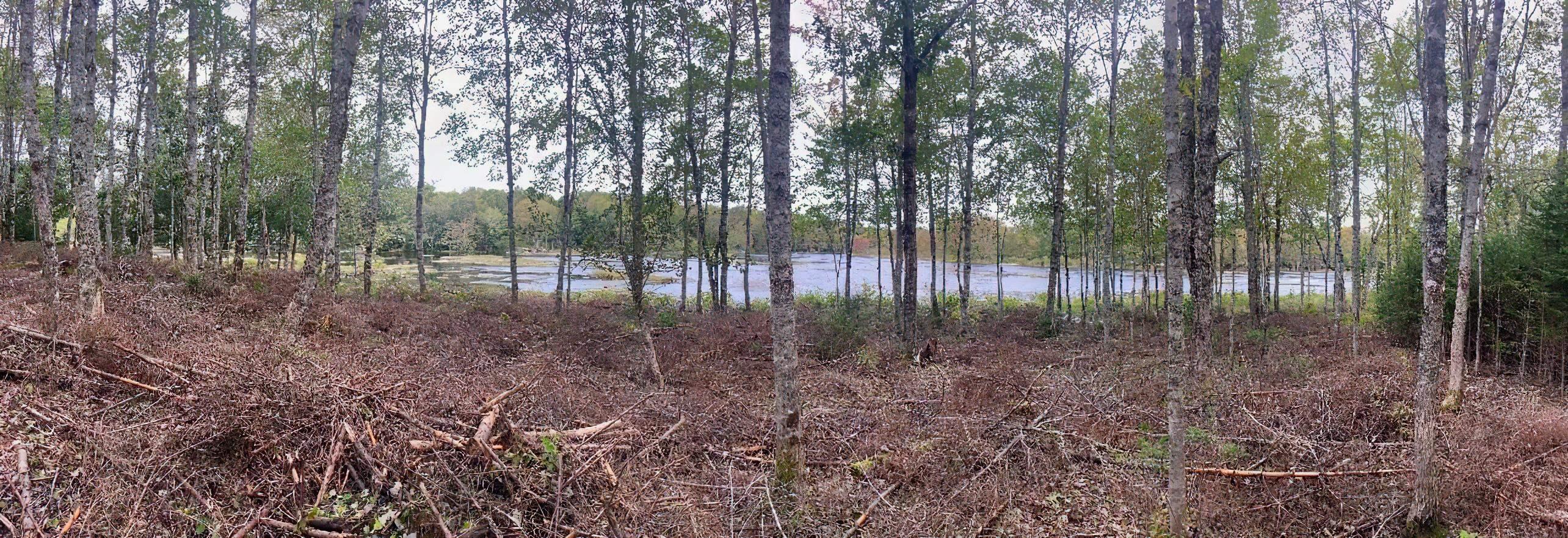 $97,500.00: Lot 29 Salmon Run Road, Newburne