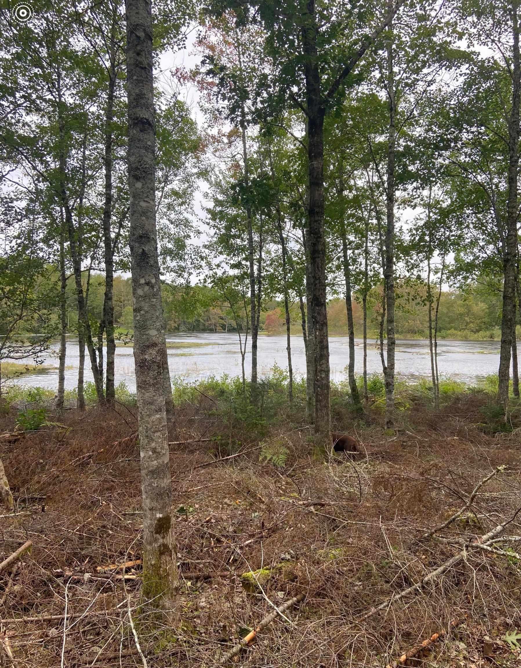 $97,500.00: Lot 29 Salmon Run Road, Newburne