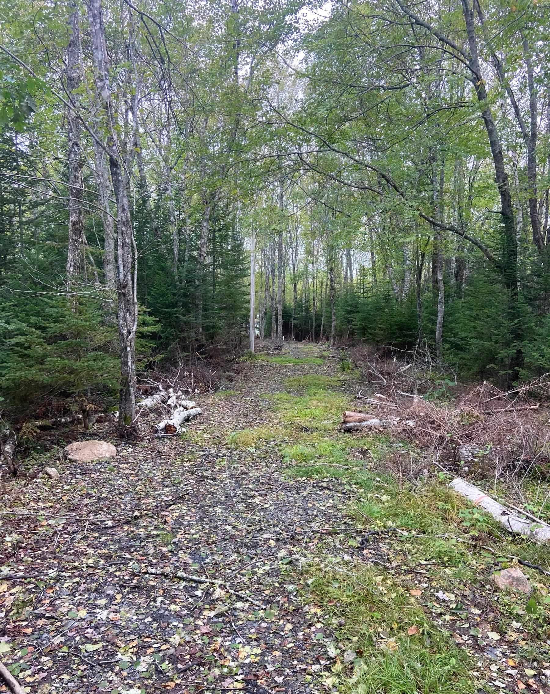 $97,500.00: Lot 29 Salmon Run Road, Newburne