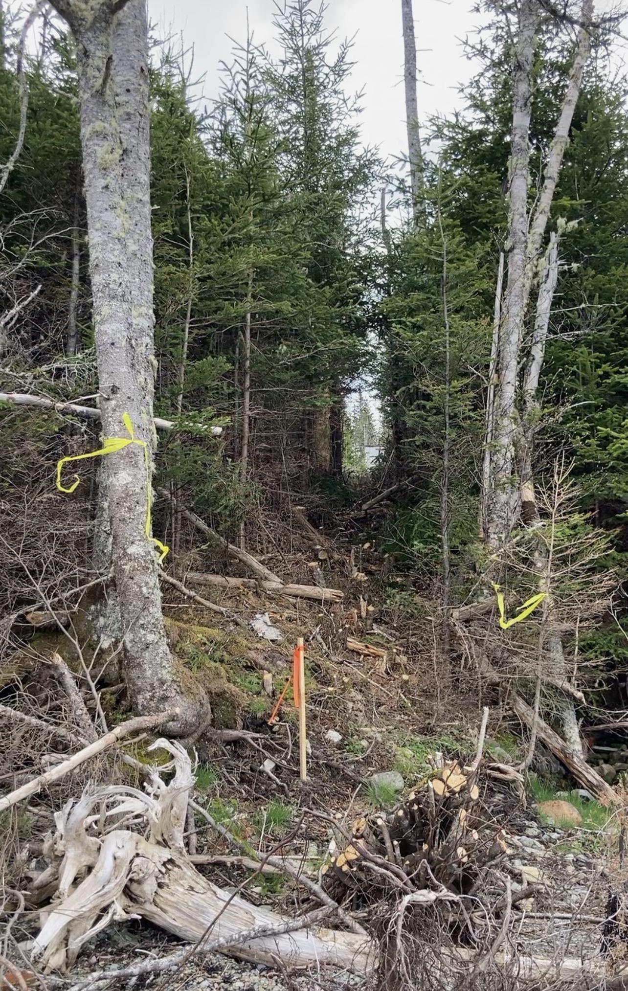 $99,900.00: Lot 21-2 West Liscomb Point Road, West Liscomb