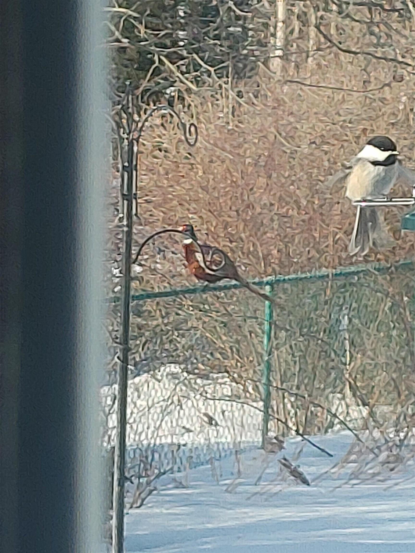 $164,900.00: 740 Willow Street, Hilden