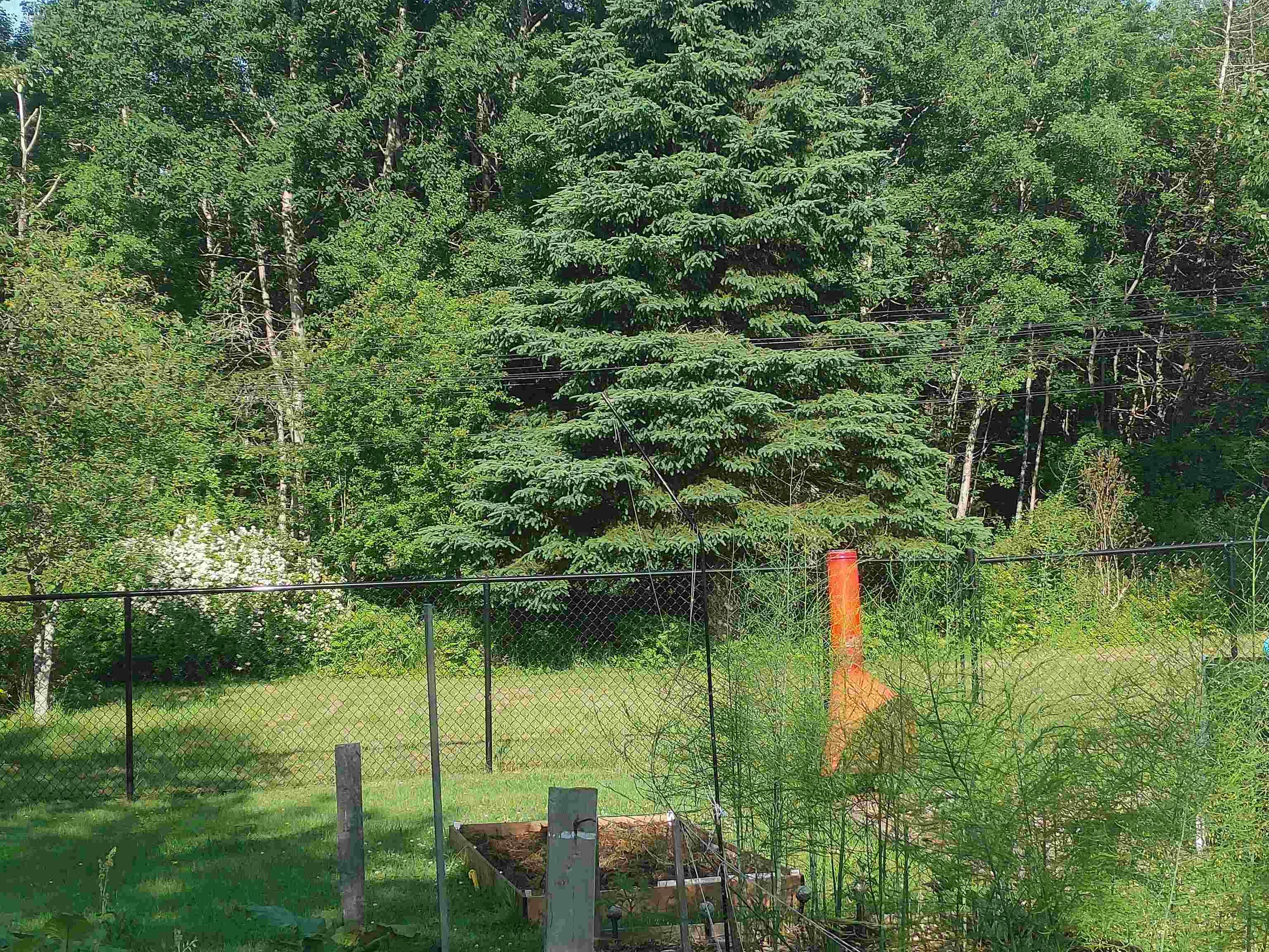 $164,900.00: 740 Willow Street, Hilden