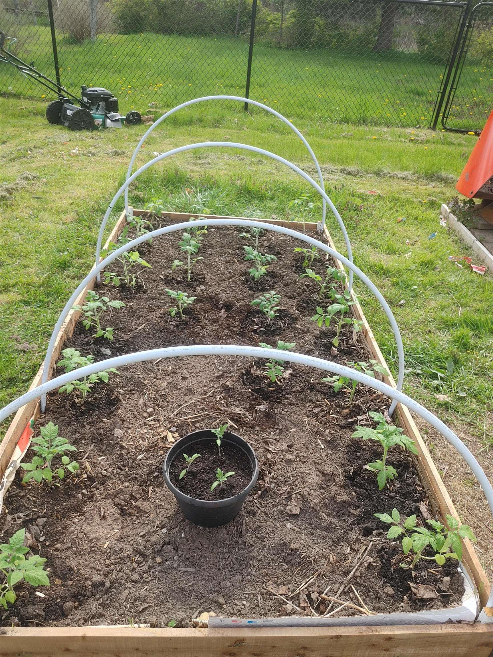 $164,900.00: 740 Willow Street, Hilden