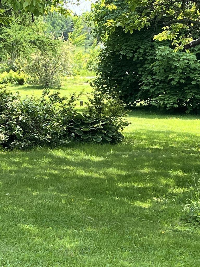 $305,000.00: 1898 Hampton Mountain Road, Hampton