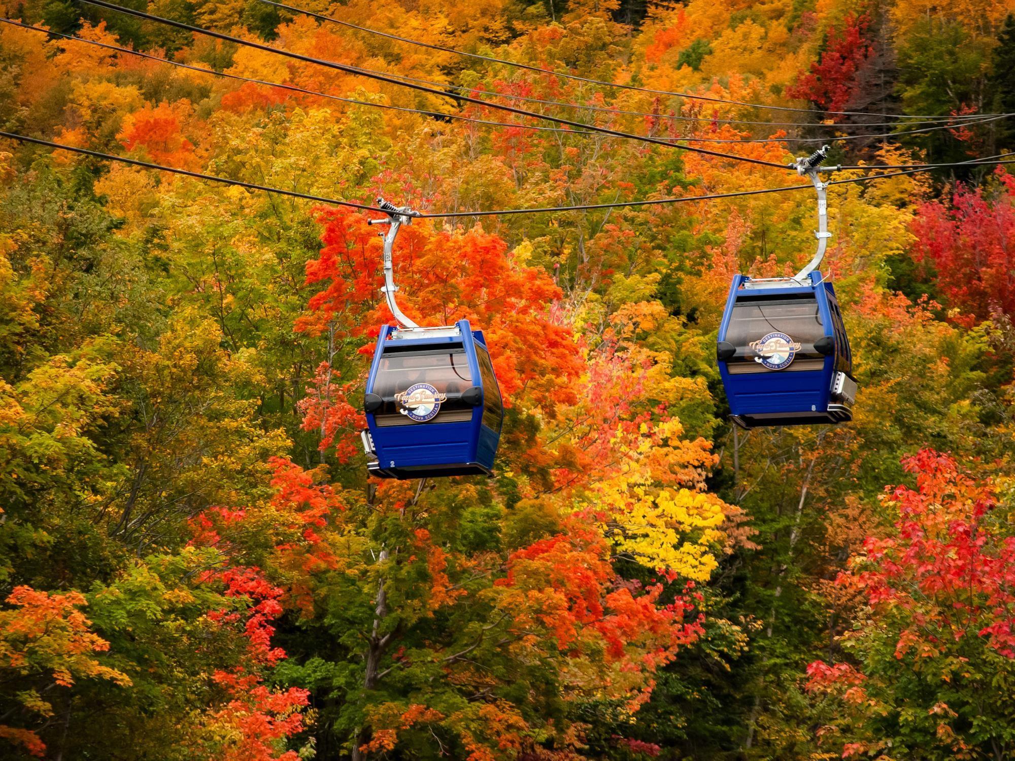 $1,825,000.00: 31 Osprey Lane, Ingonish