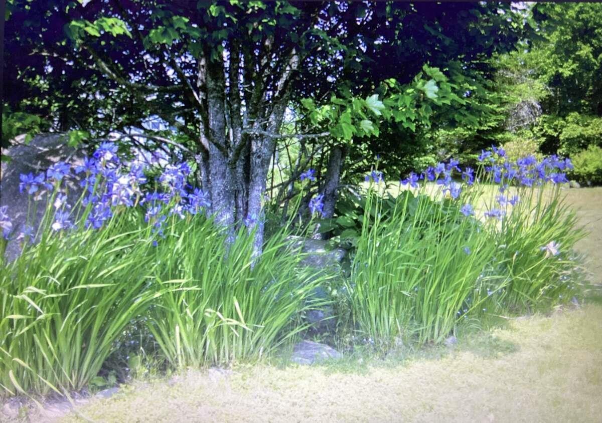 5 Melinda Avenue, East Lawrencetown, NS (MLS 202601940)