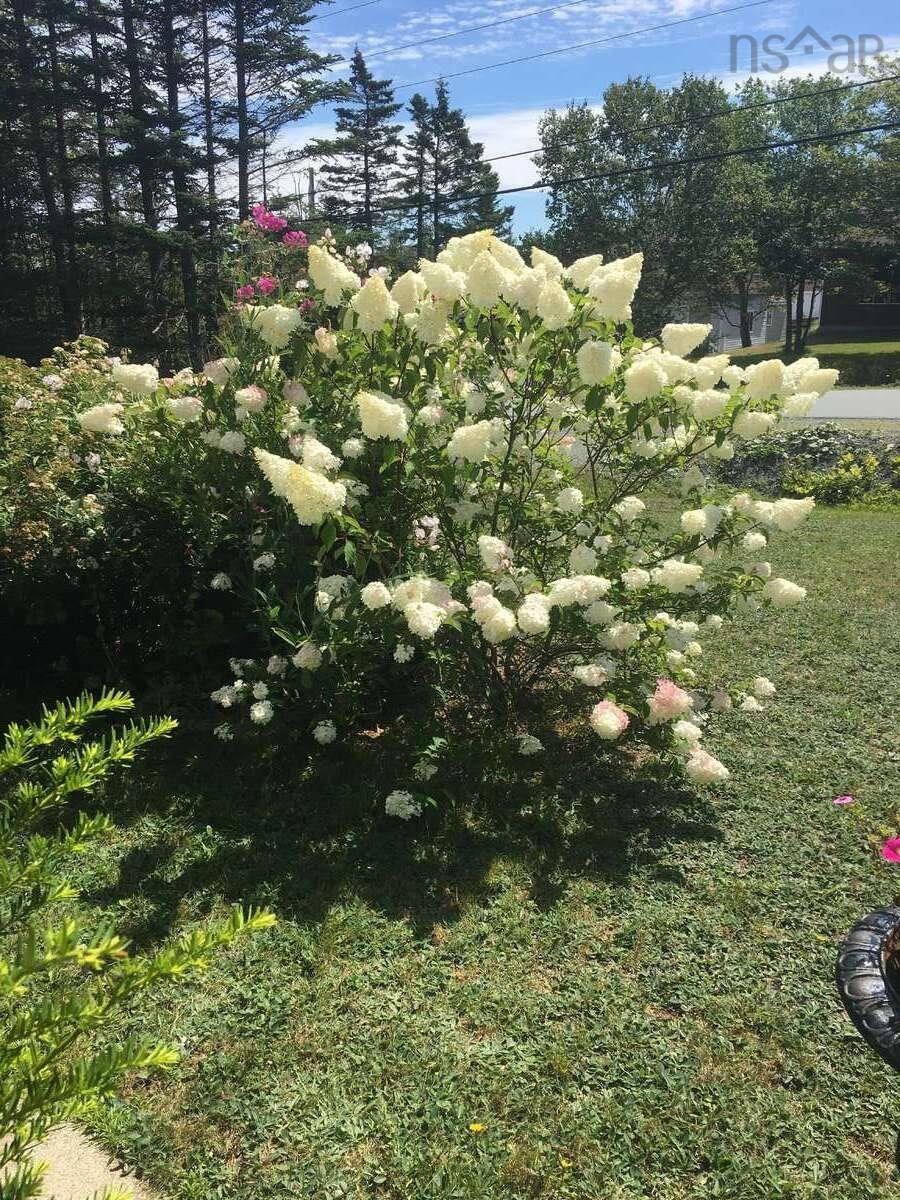 5 Melinda Avenue, East Lawrencetown, NS (MLS 202601940)