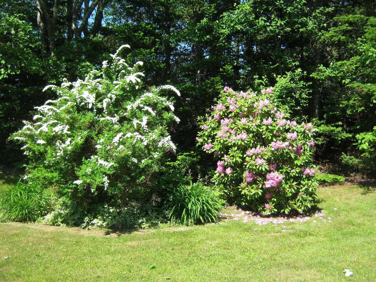 5 Melinda Avenue, East Lawrencetown, NS (MLS 202601940)