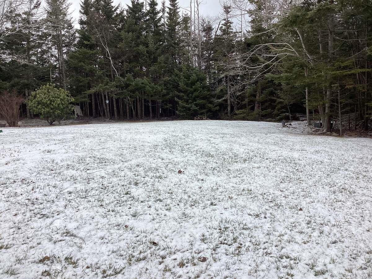 5 Melinda Avenue, East Lawrencetown, NS (MLS 202601940)