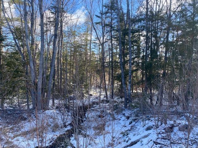 $699,000.00: PID: 60446457 Newburne Road, Newburne