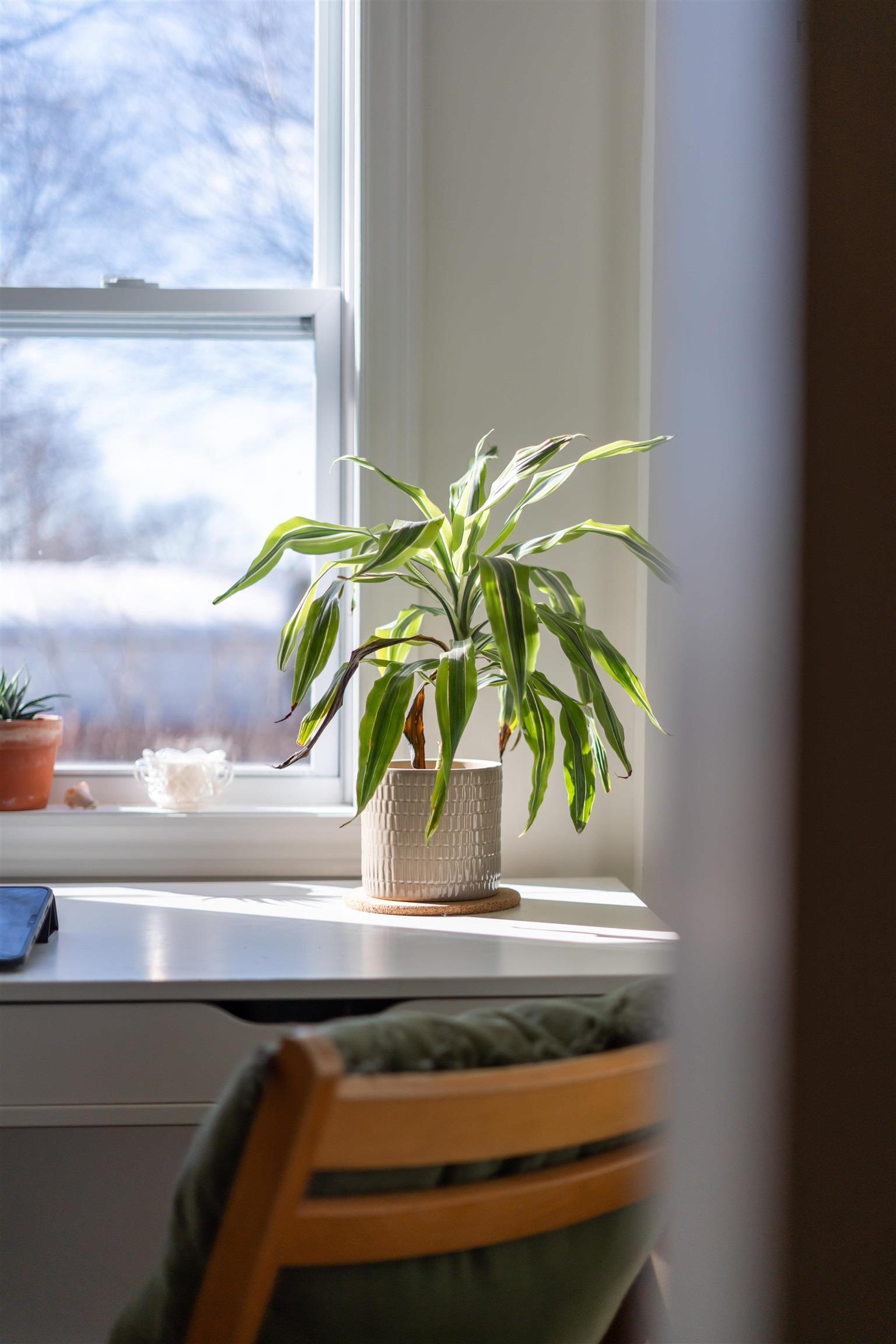 3216 Agricola Street, Halifax, NS (MLS 202601956)